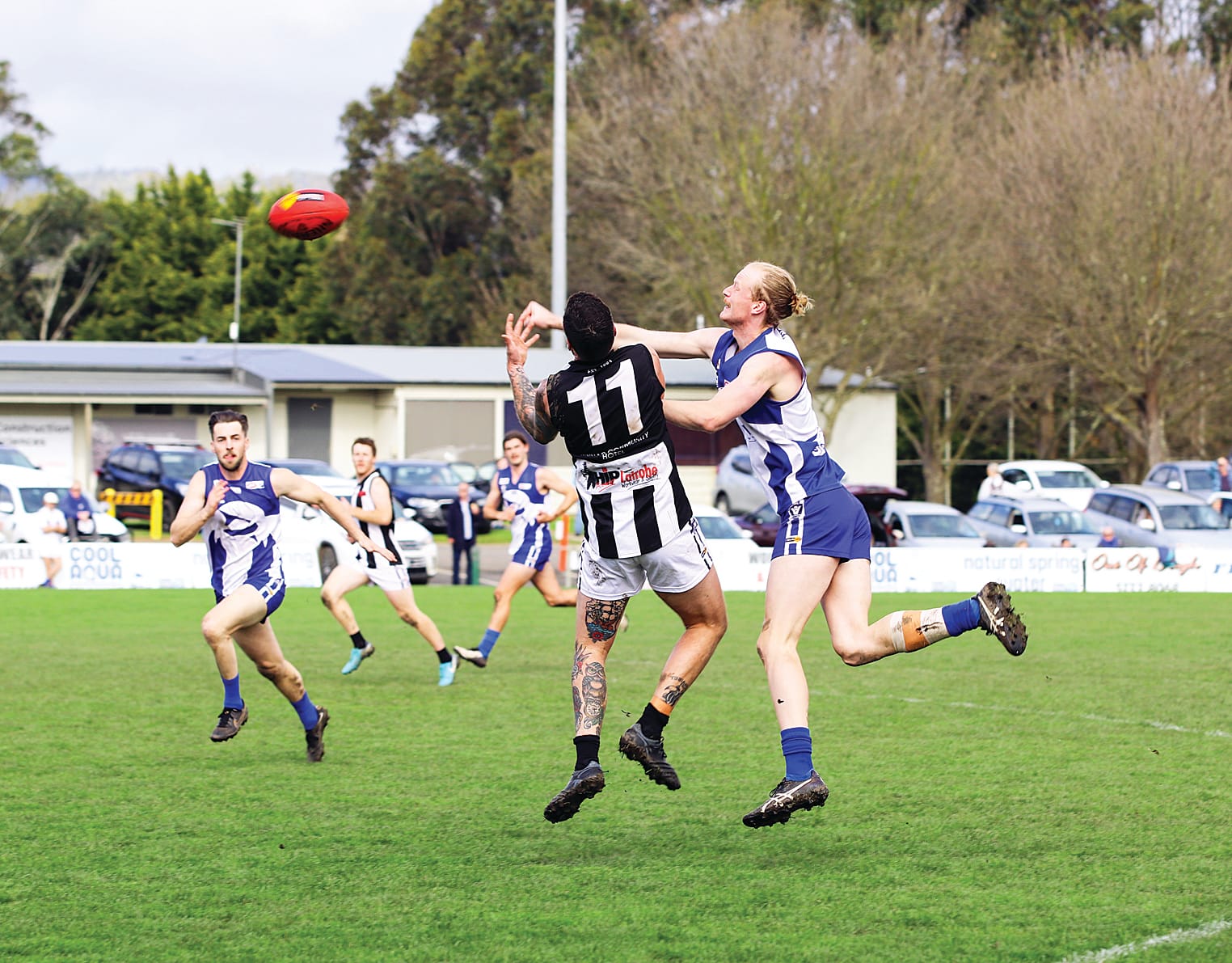 Mighty Sharks go down to Magpies