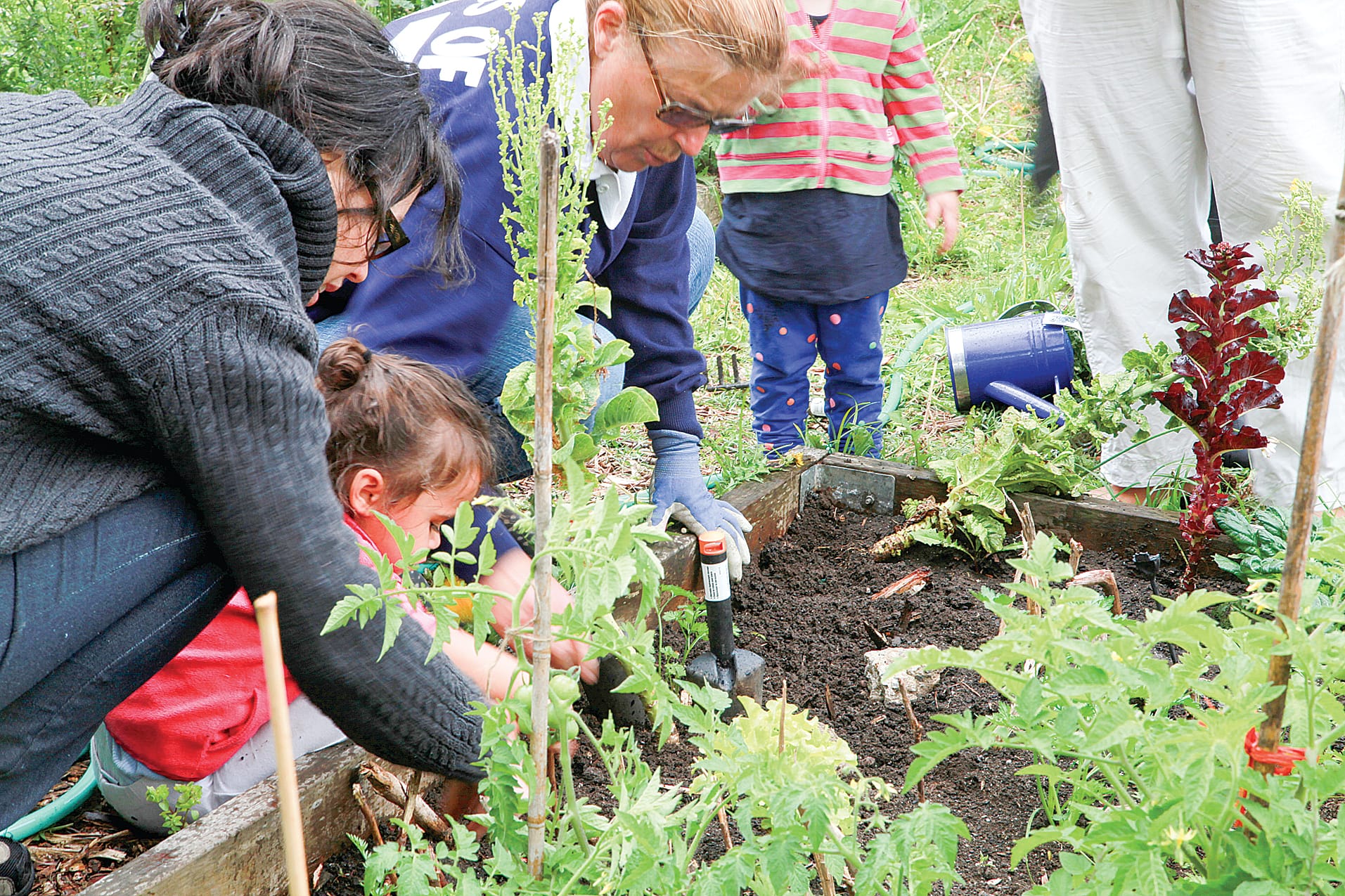 A community garden can not only provide fresh, healthy and locally produced food but can also build positive and meaningful connections across all walks of life.