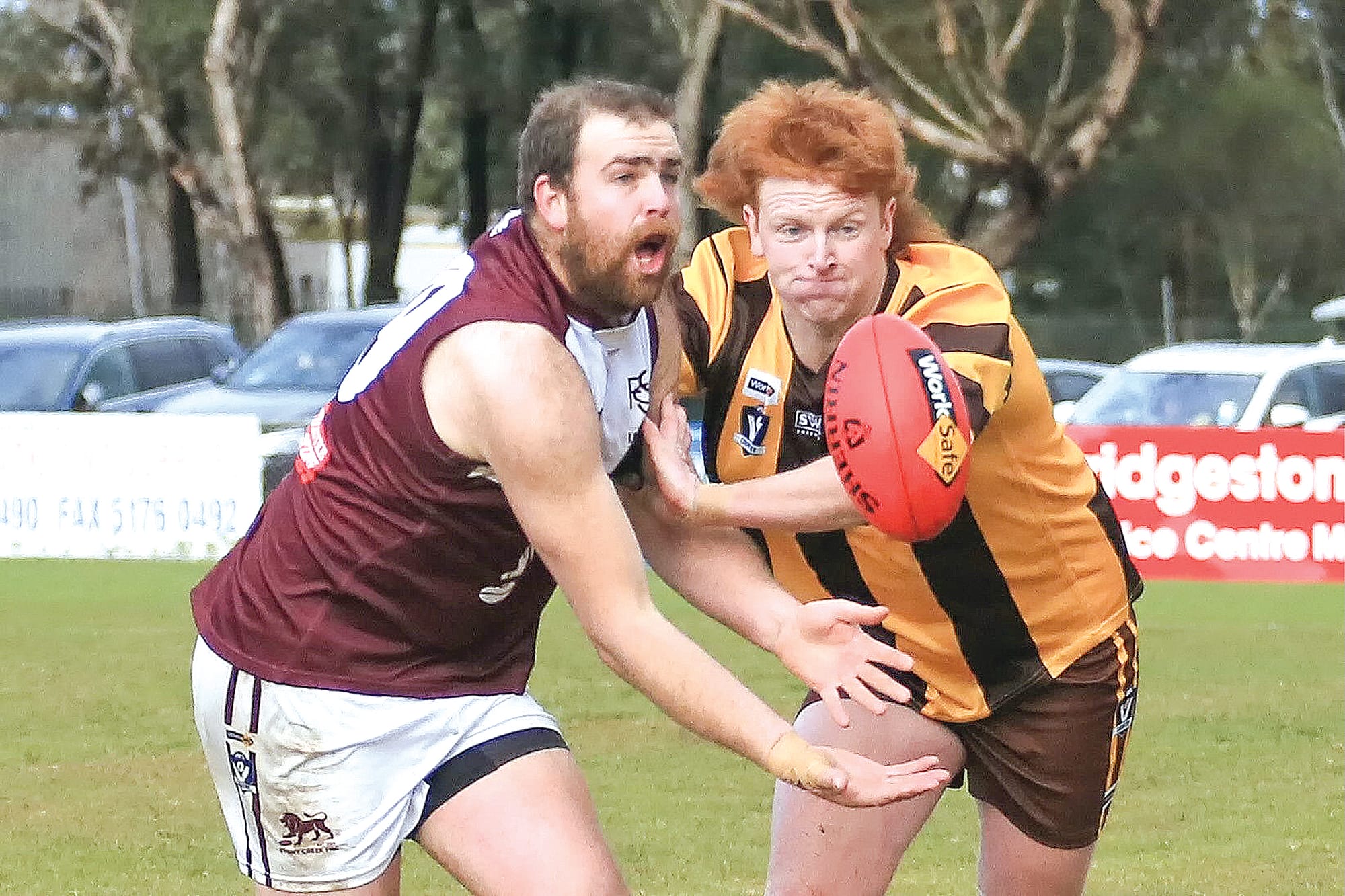 The Lions player roars and the Tigers player hunt the ball in what was a tight on field contest.