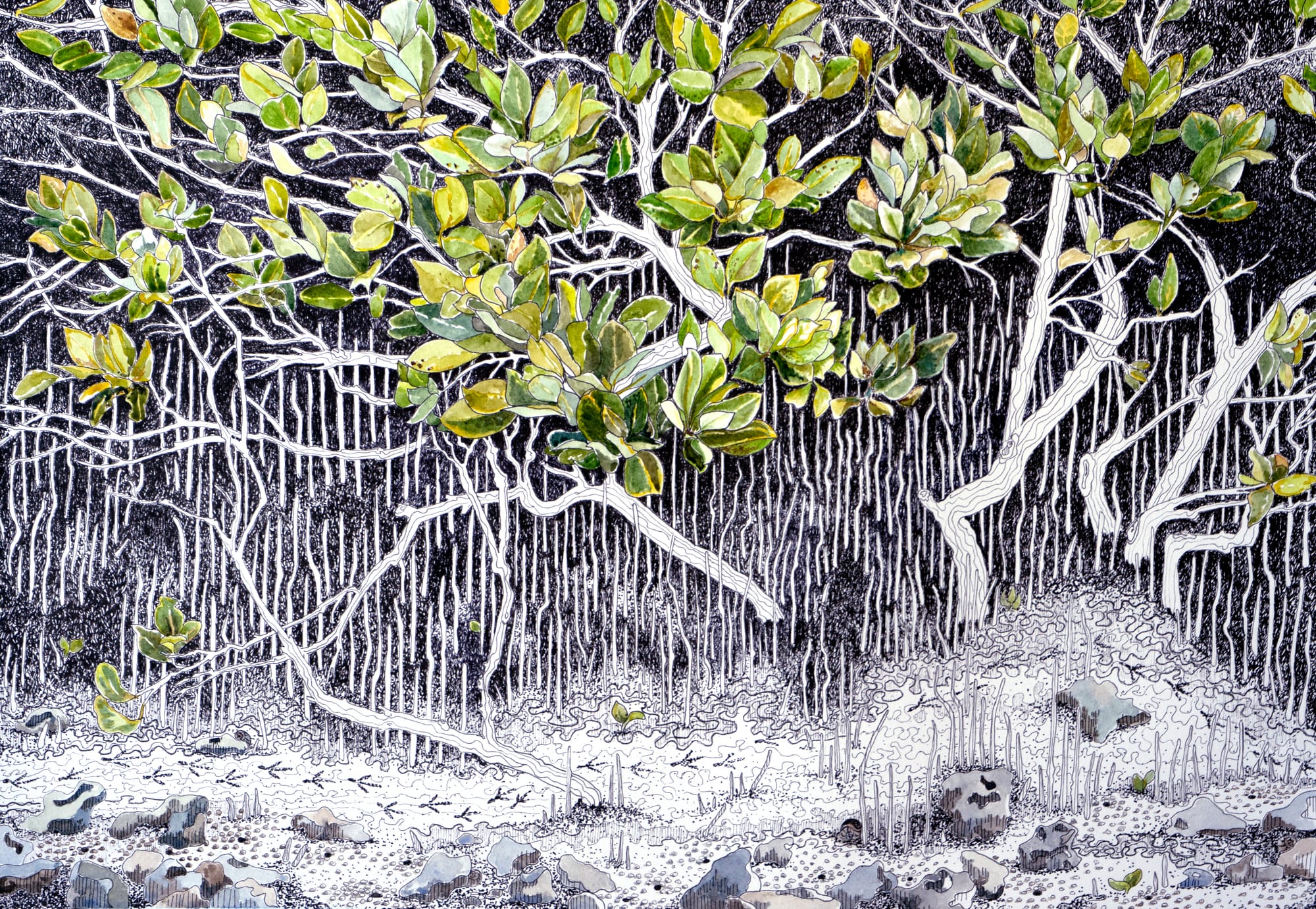 Toora artist a finalist in National Capital Art Prize