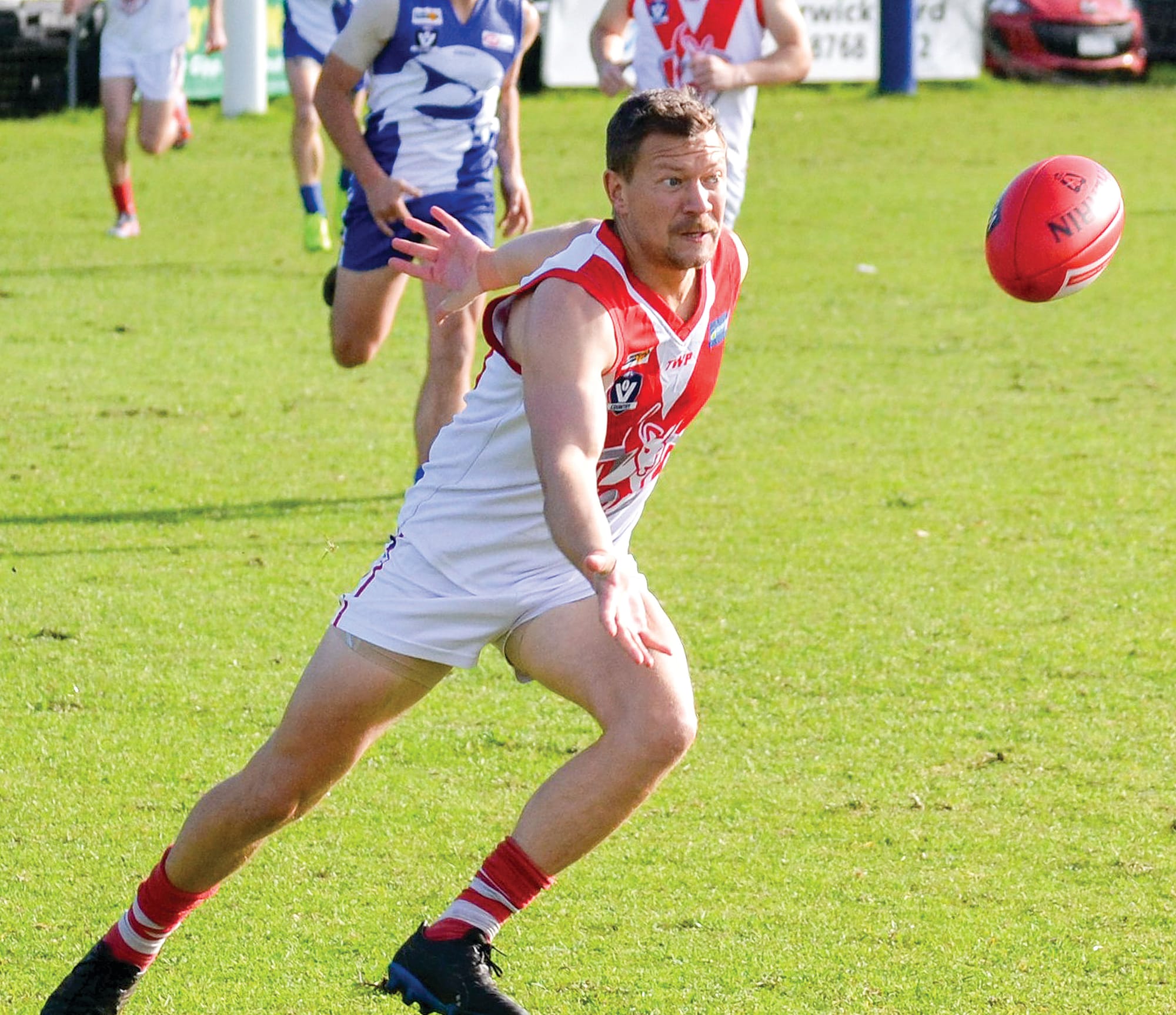 Disappointing performance for the Sharks