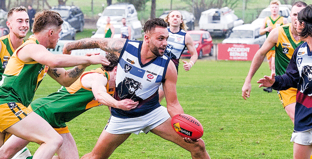 Stars stave off persistent Panthers