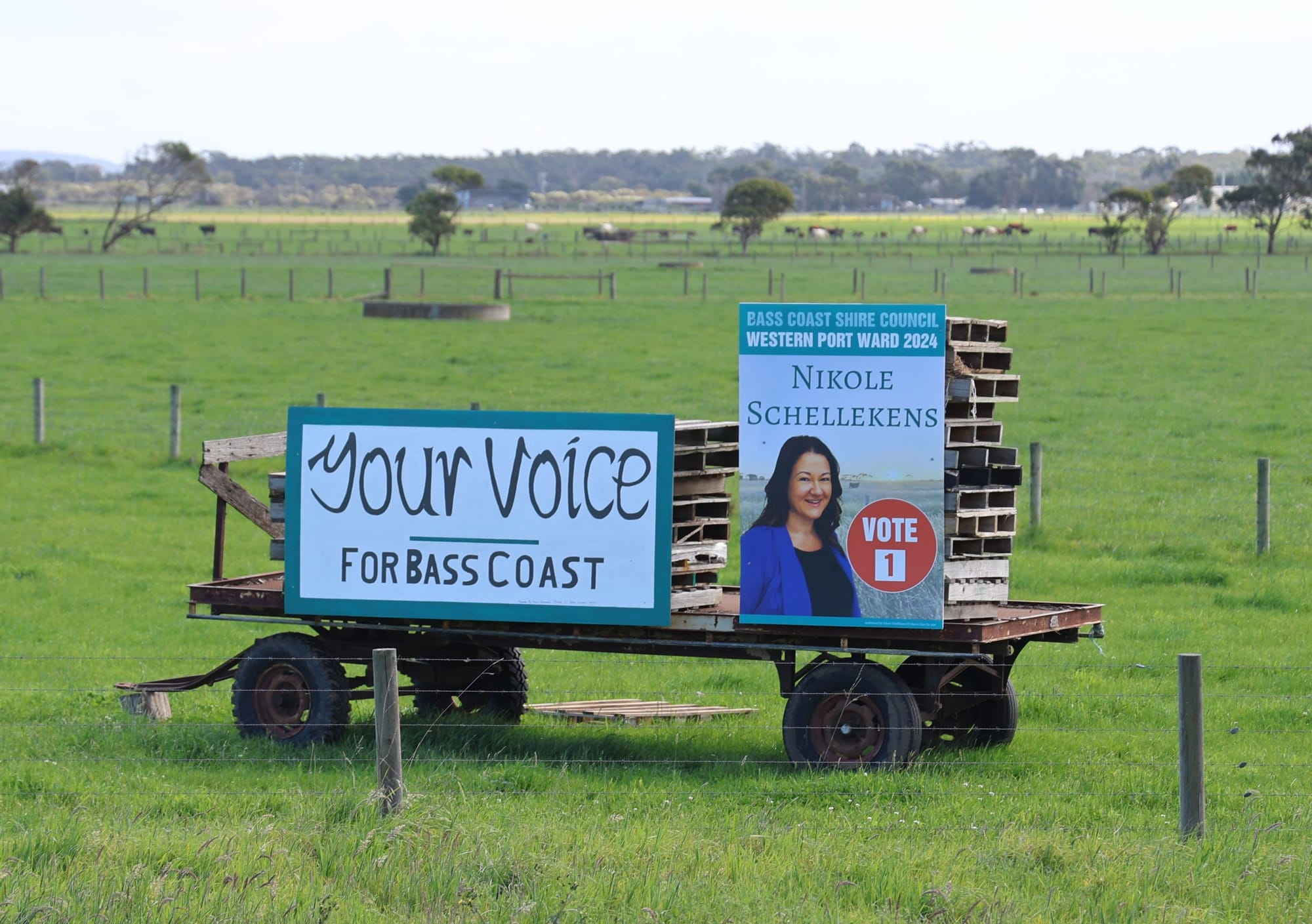 Council elections voting deadline looms