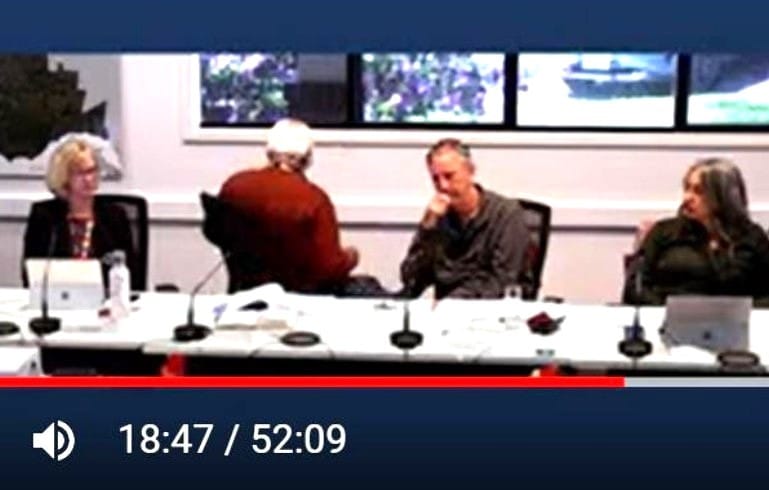 Ex-mayor Whelan tagged as body language ‘bully’