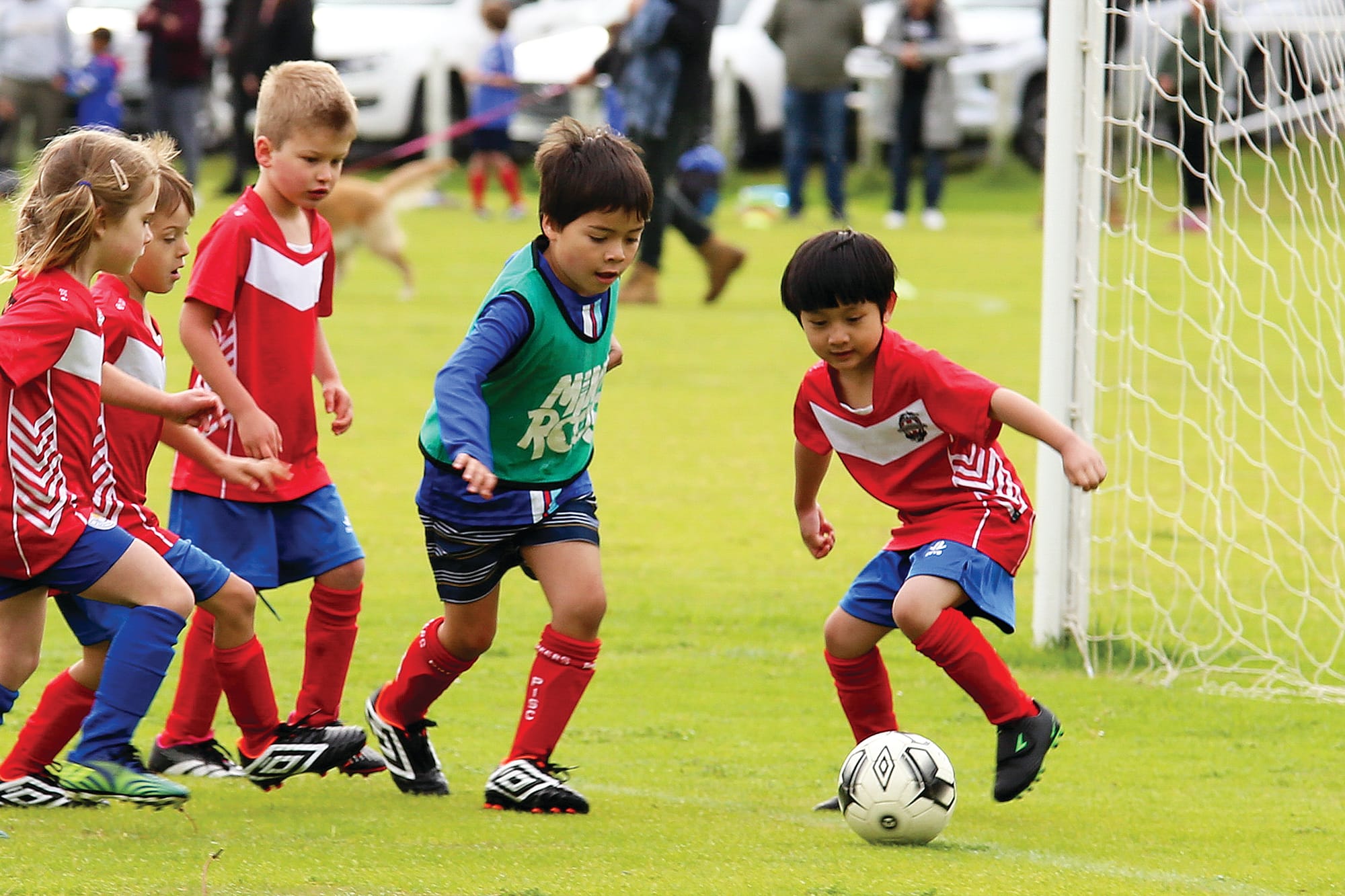 Wonthaggi United Soccer results