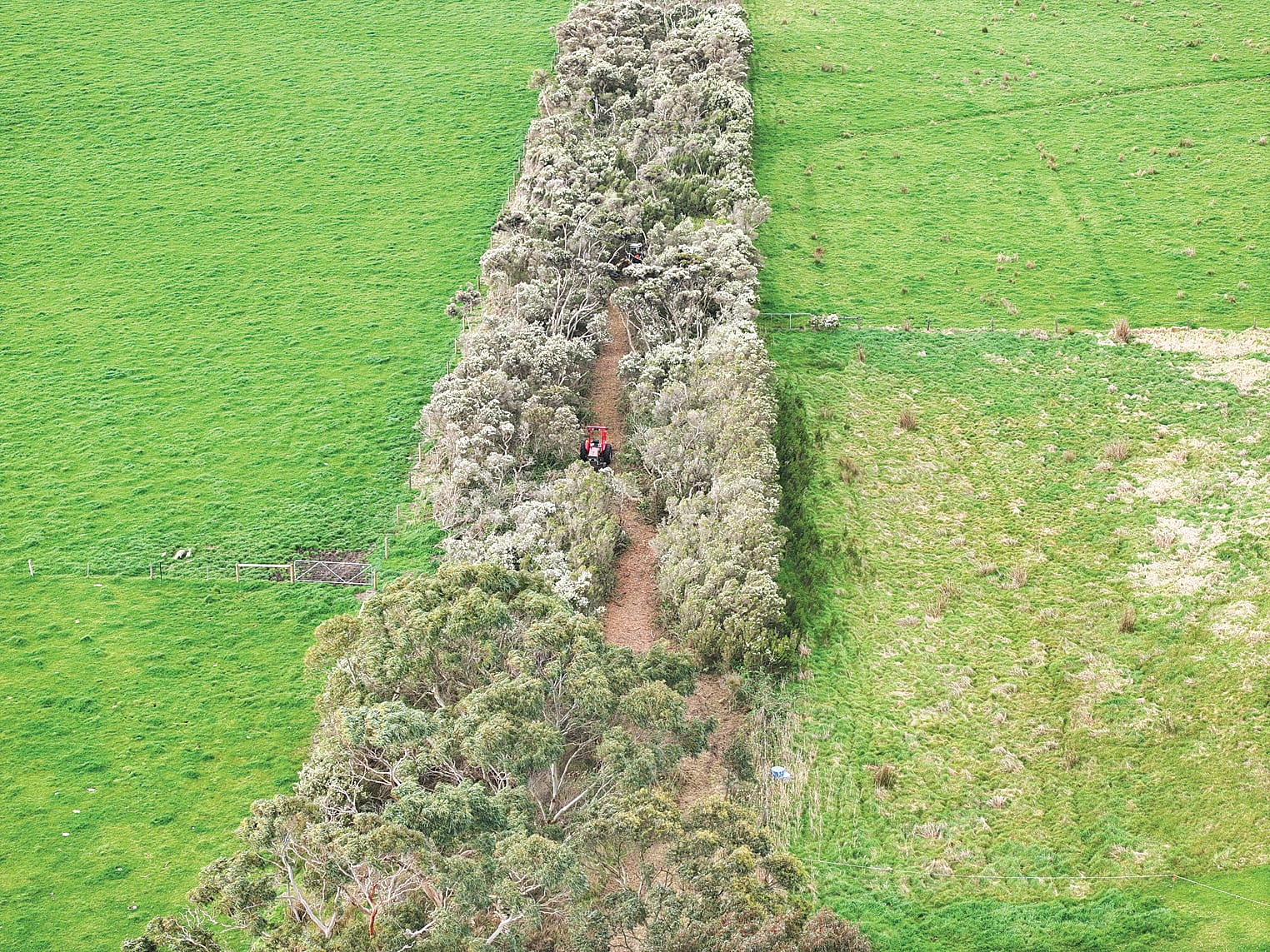 Work is well underway on the Wonthaggi to Inverloch shared pathway.