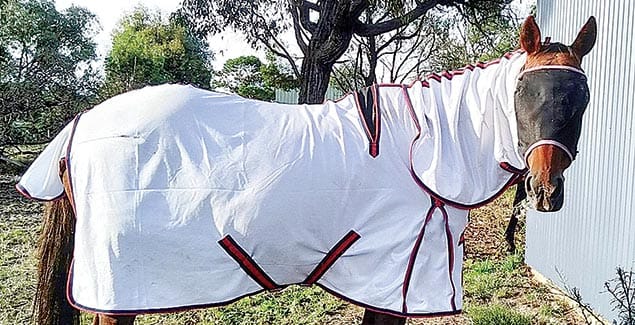 Be on guard against deadly virus