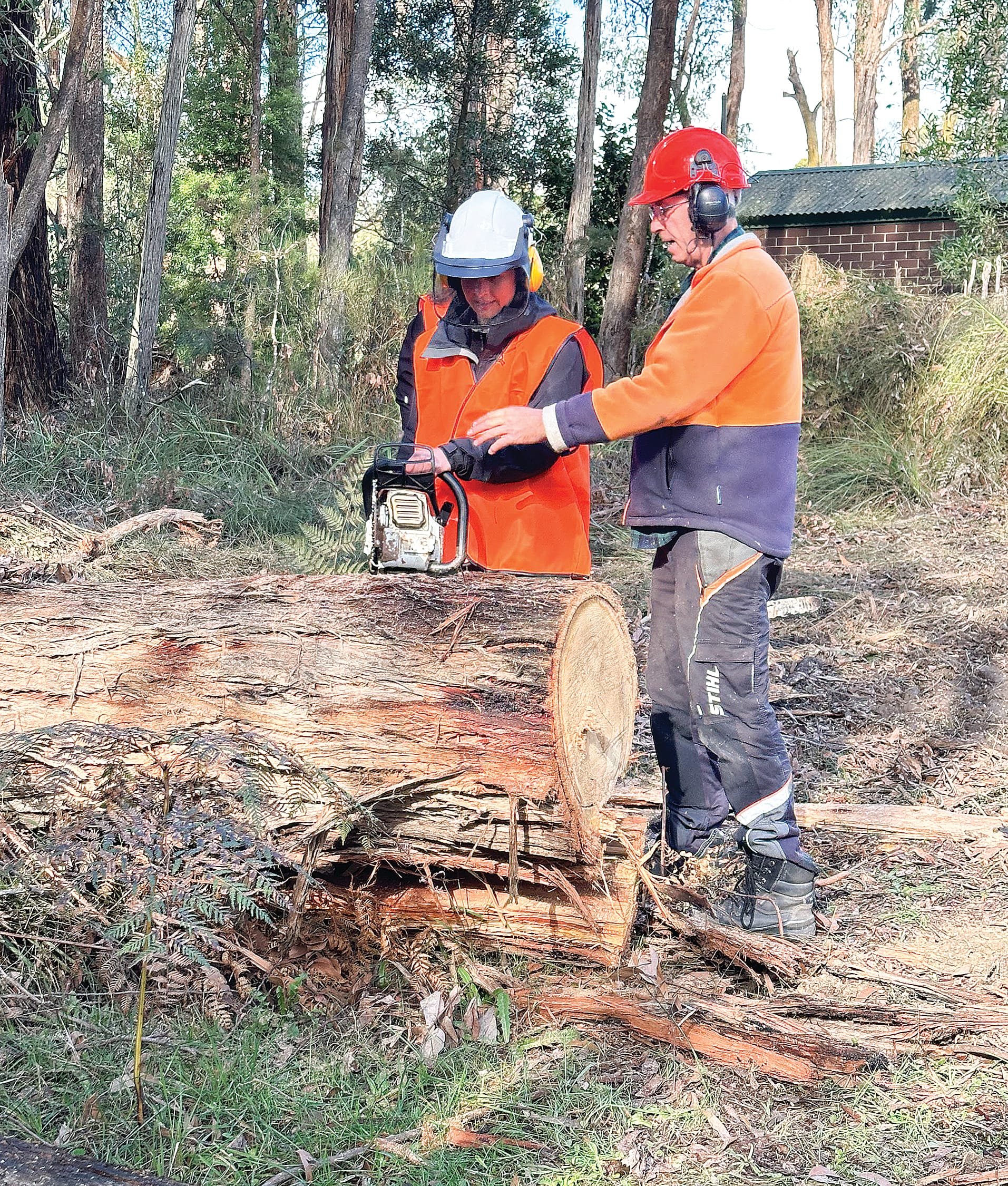 TAFE Gippsland forestry educator Kevin Nunn with participant Ruth Rogan.
