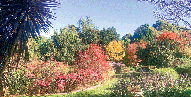 Garden opens for the first time in 14 years