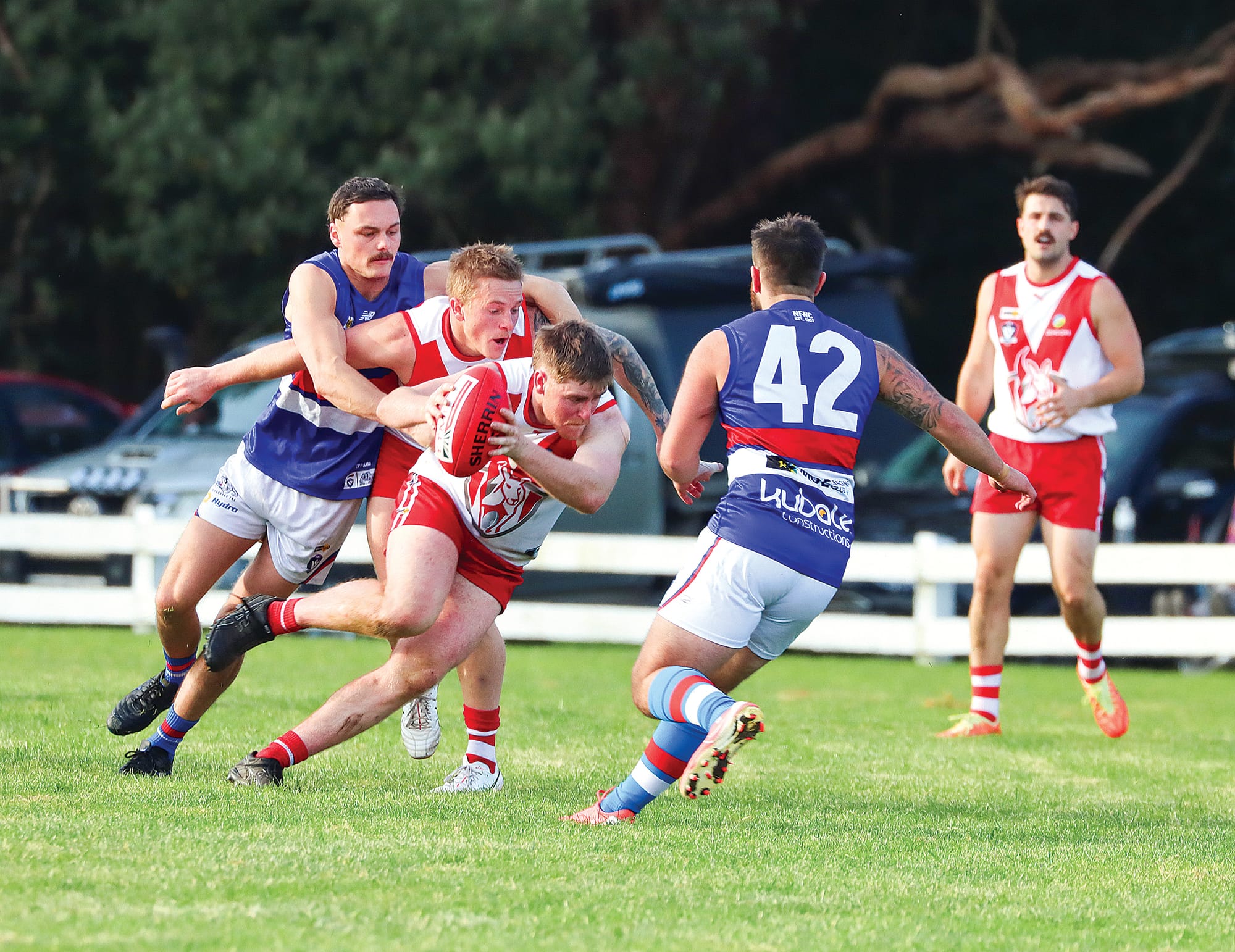 Fish Creek exhibits its strength as Dogs fight