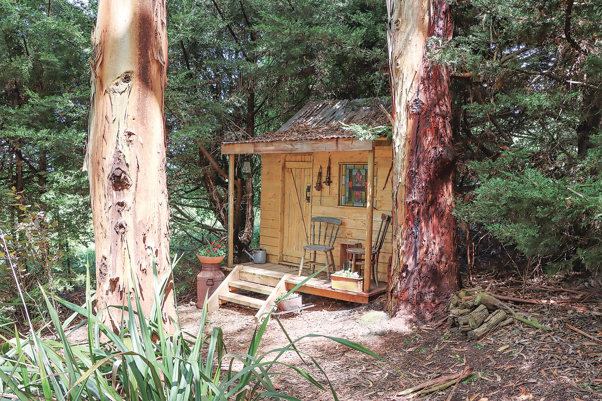 ‘Swift Heath’ garden. A33_4924