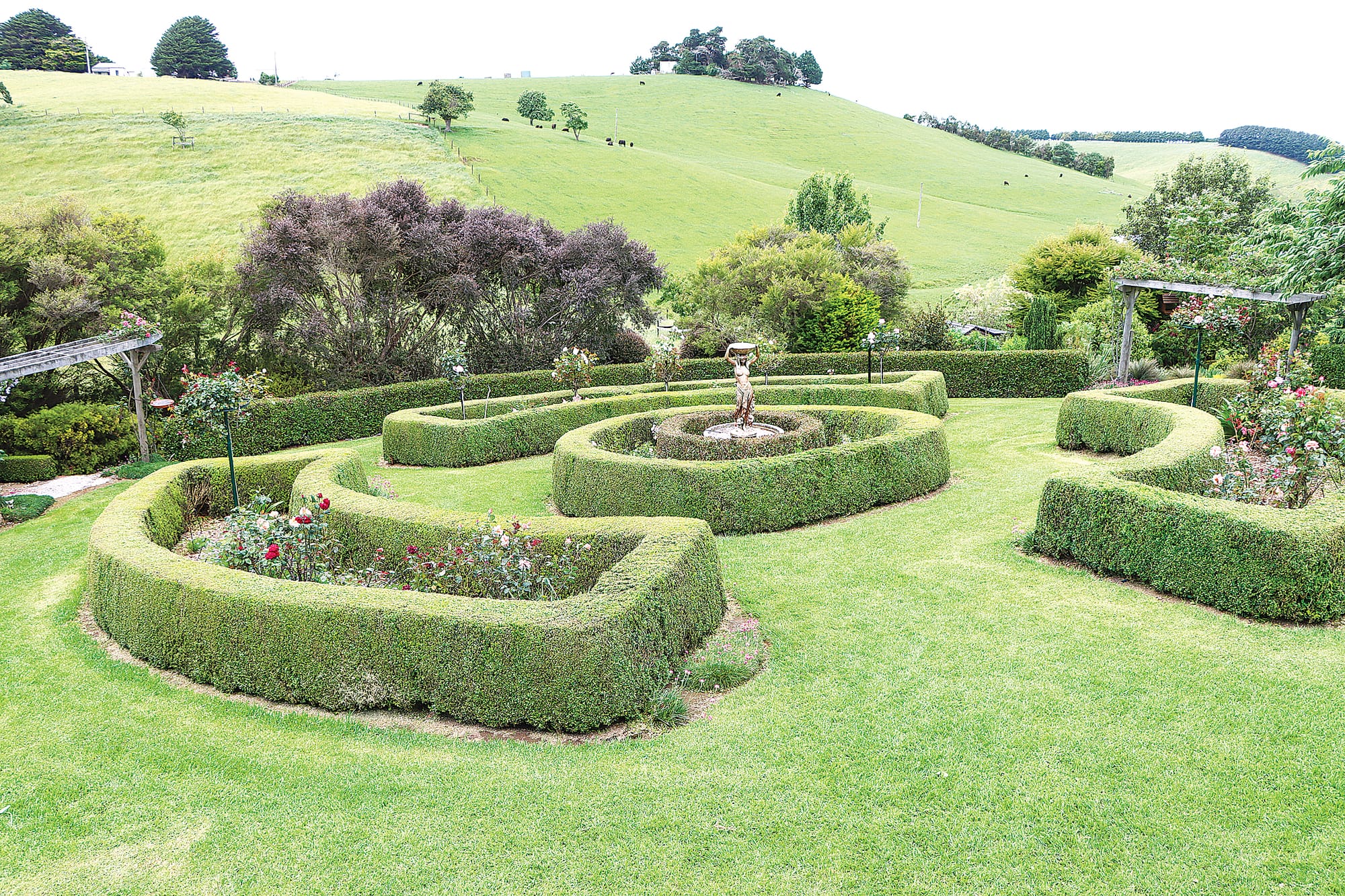 Hedged garden beds are among the spectacular features of ‘Mon Beau Jardin’. A31_4924