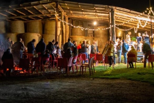 Here’s to 12 more months of milking cows