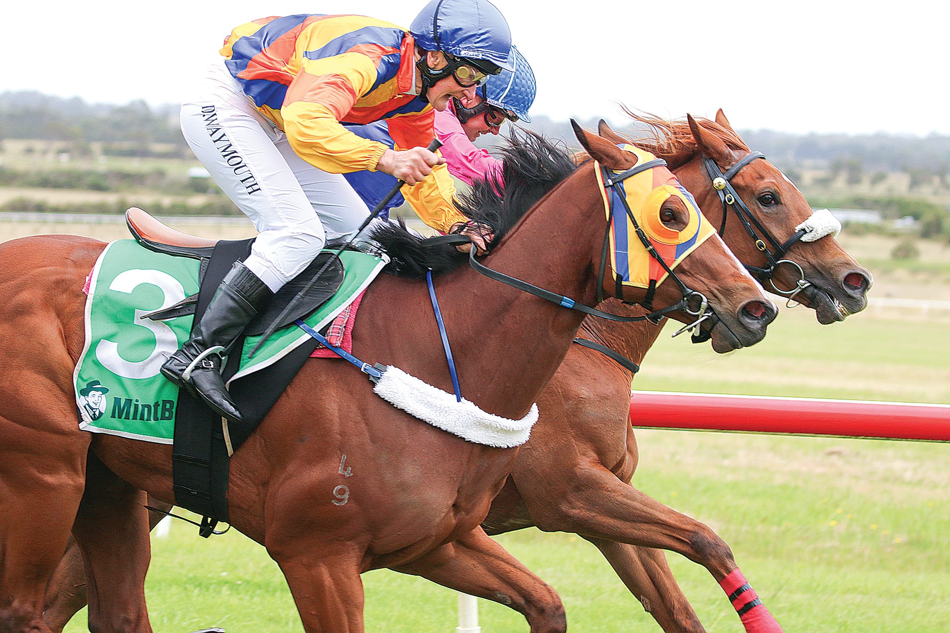 Sleeping Tiger was waking up on the outside to take on Maggie Rocks on the inside of the straight. ob12_0124