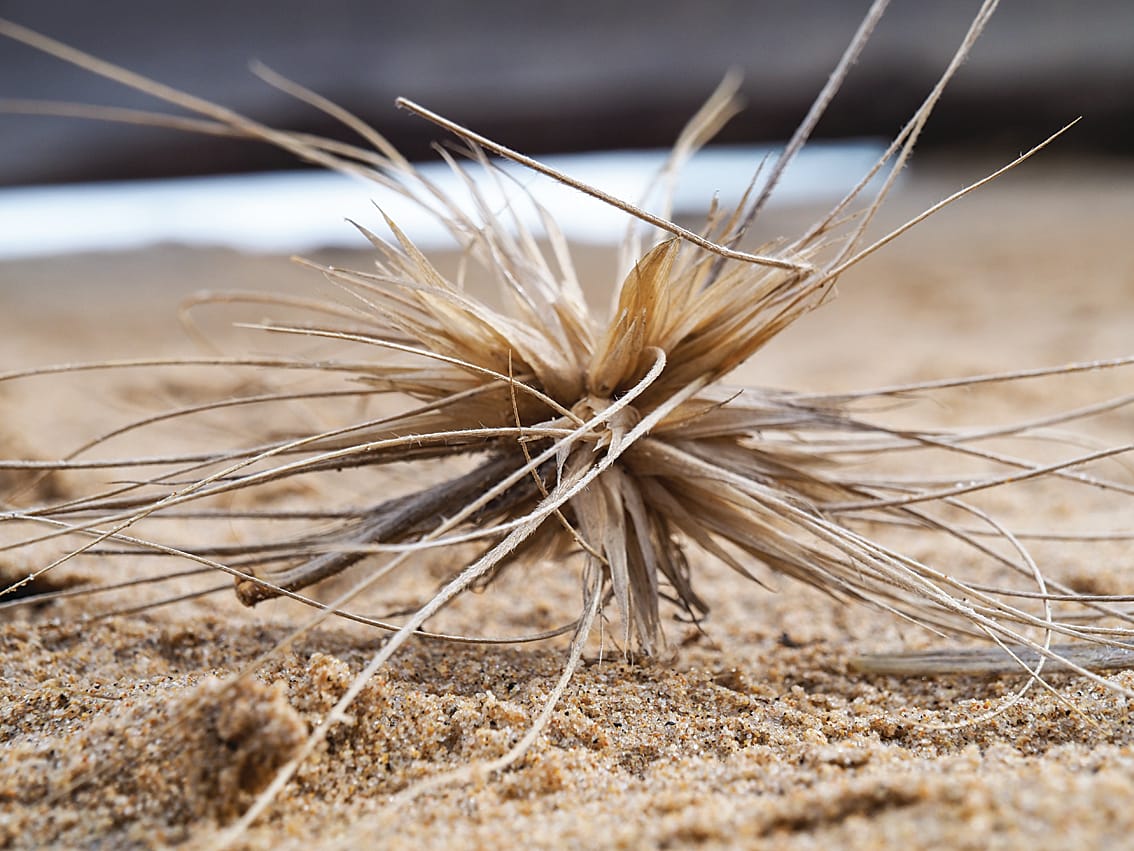 Kate’s book is filled with photographs across Bass Coast and South Gippsland.