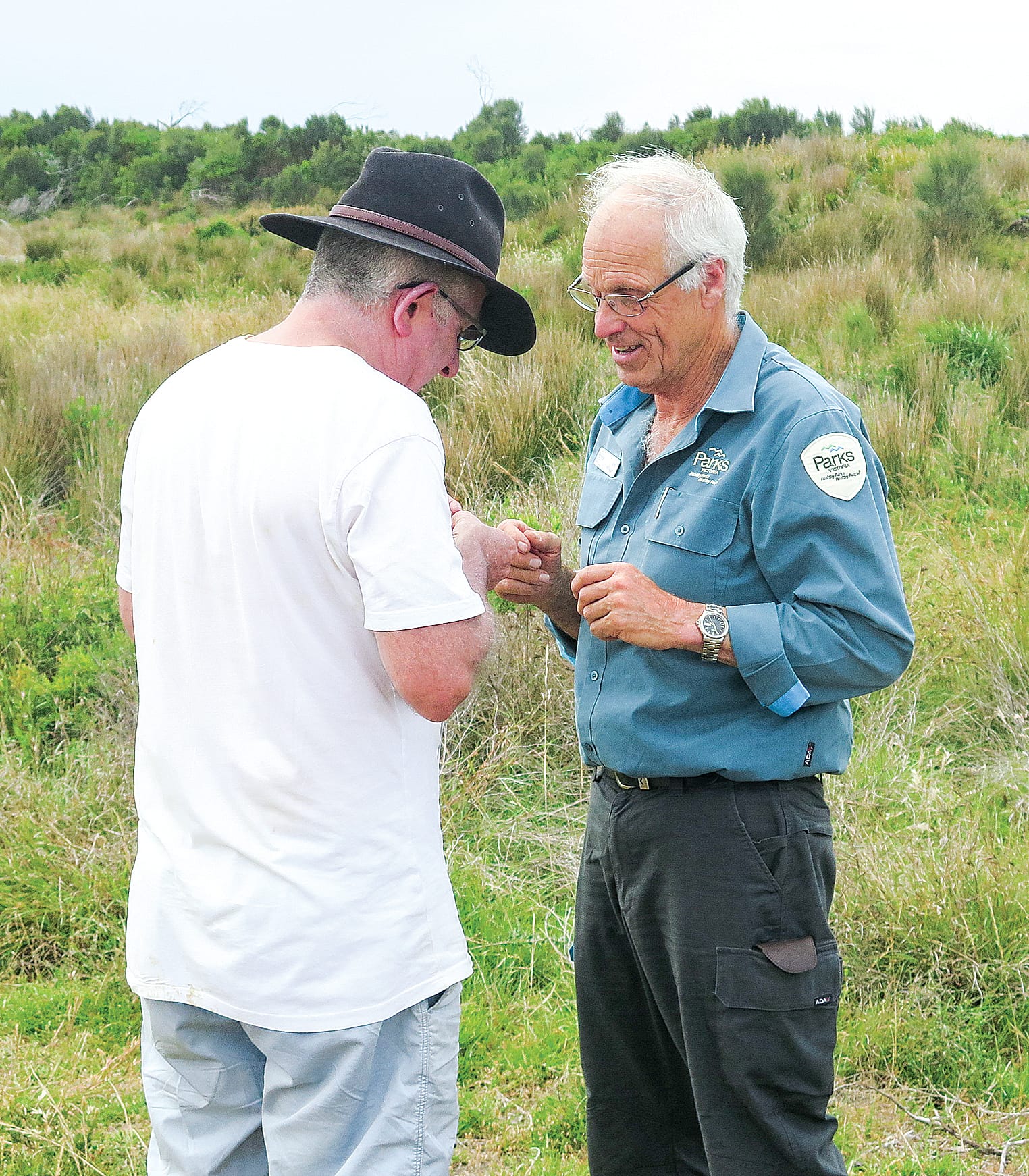 Shaping the future of the Prom