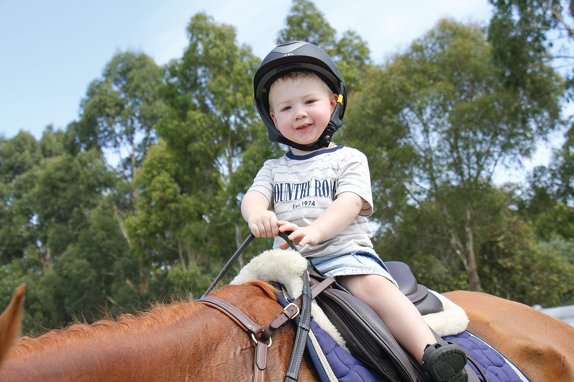New dog high jump record at the Foster Show