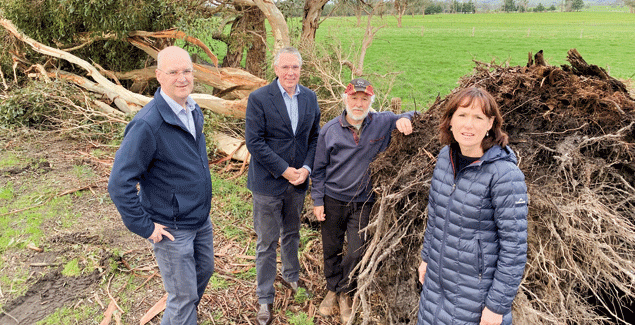 Call for moratorium on collecting firewood