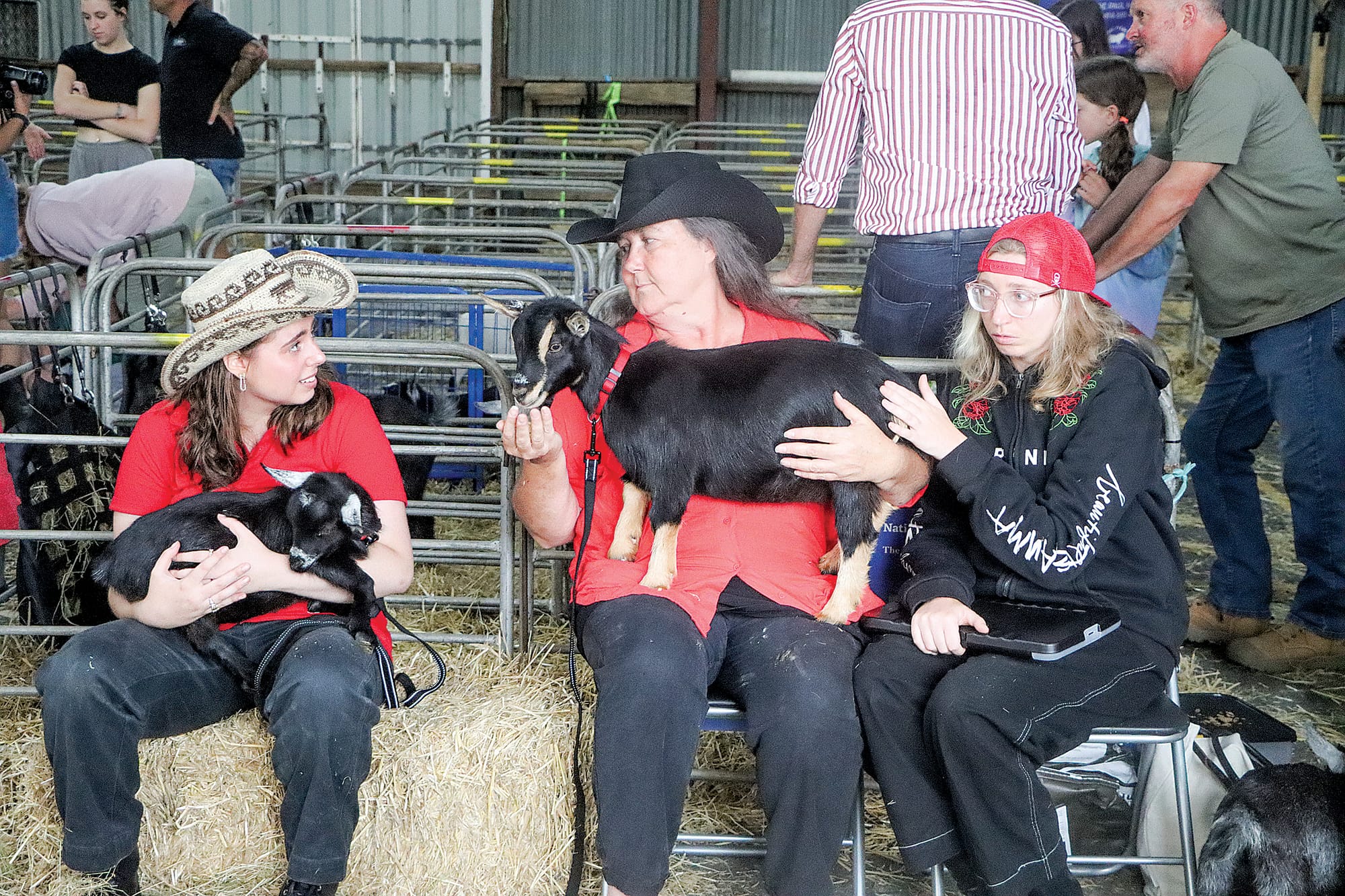 Esme, Sam and Asha of Aird Mhor Pygmy Goats in Baxter. A37_0625