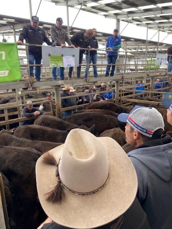 BUDGET: Government ramping up pressure on agricultural emissions