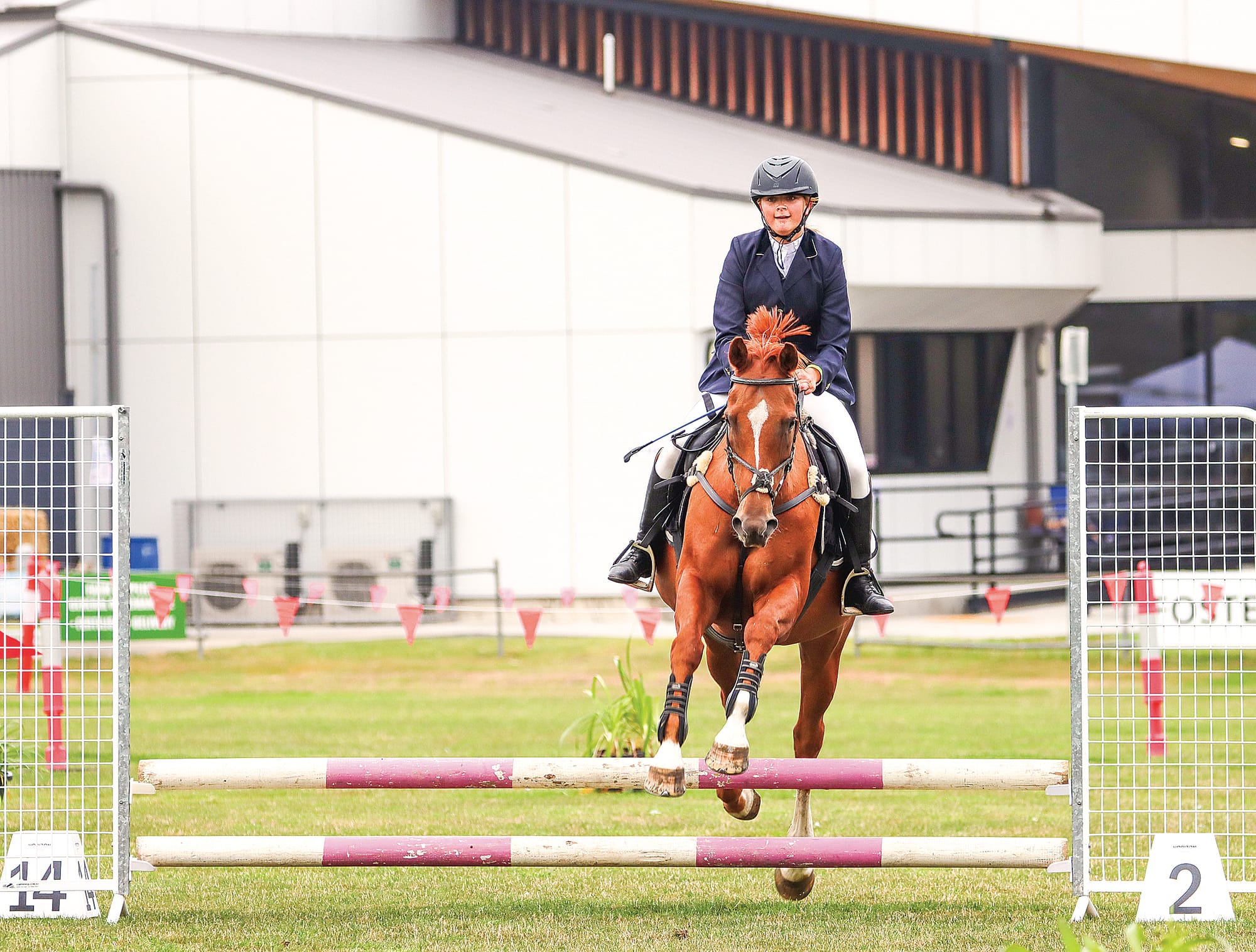 Brooke Paterson guides Josh over a jump. A07_0924