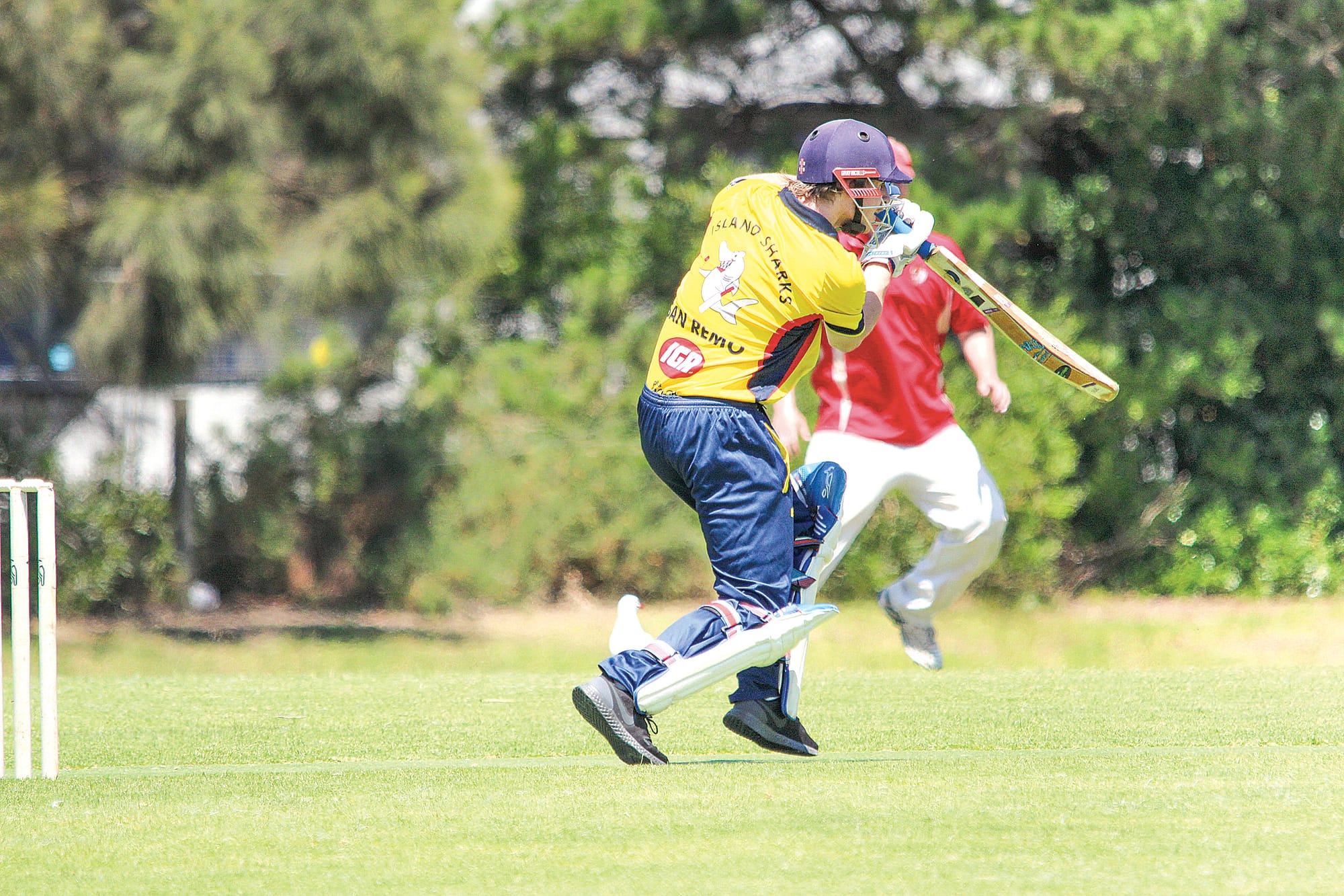 Jack Keating made a nice half century for the Sharks in their loss to Nerrena. 