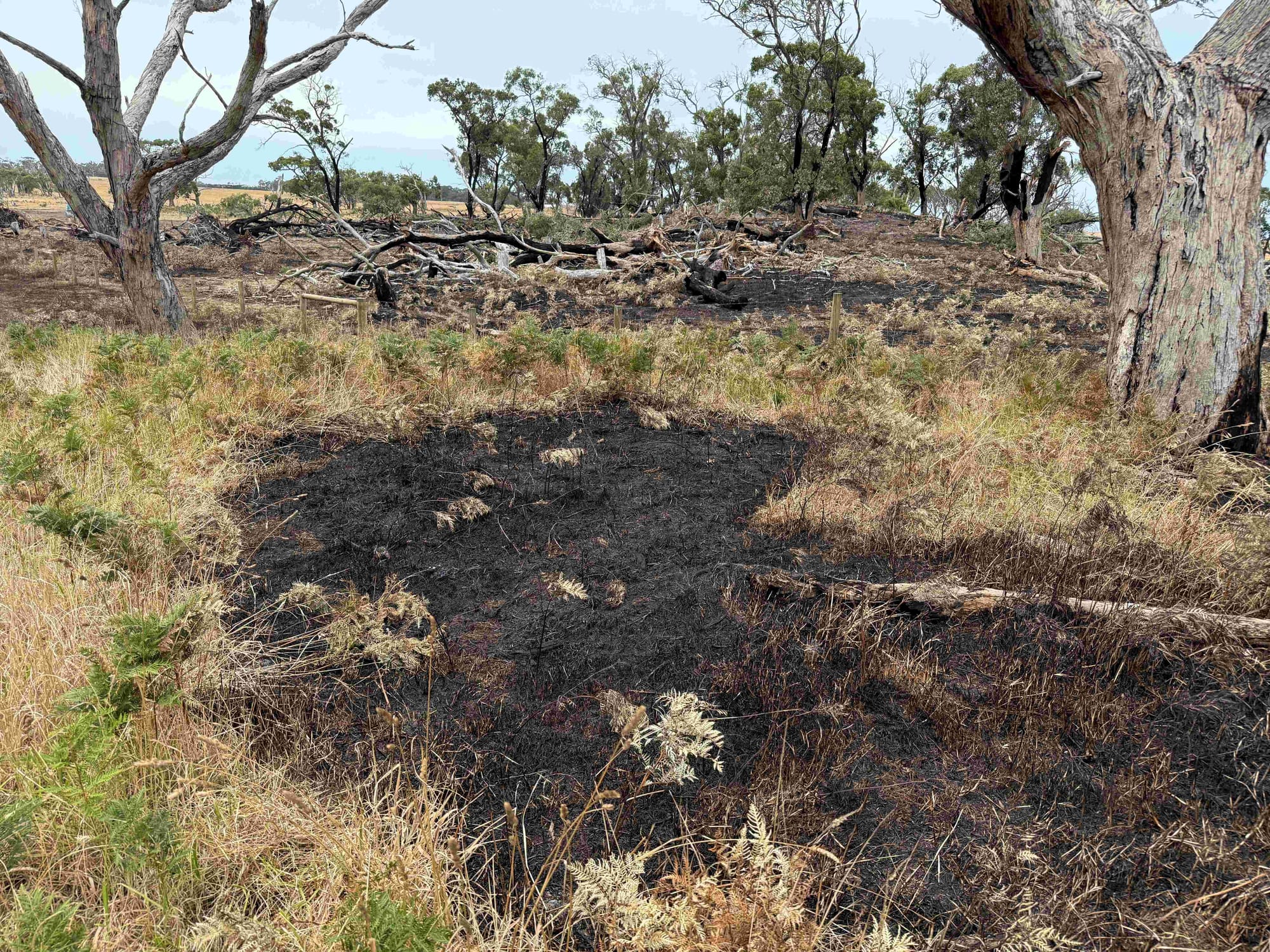 The scene of the scrub and grass fire south of Wonthaggi.