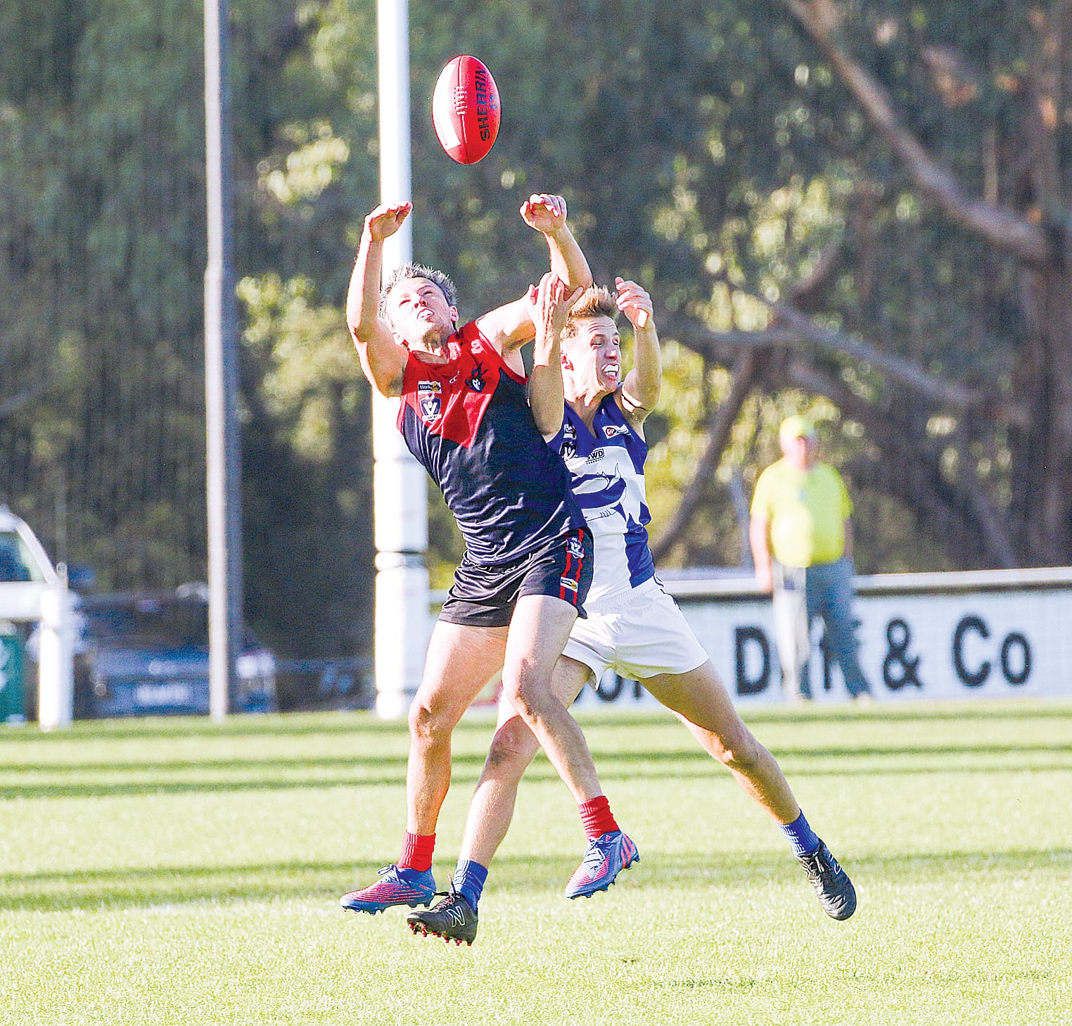 Demons bounce back to winners list