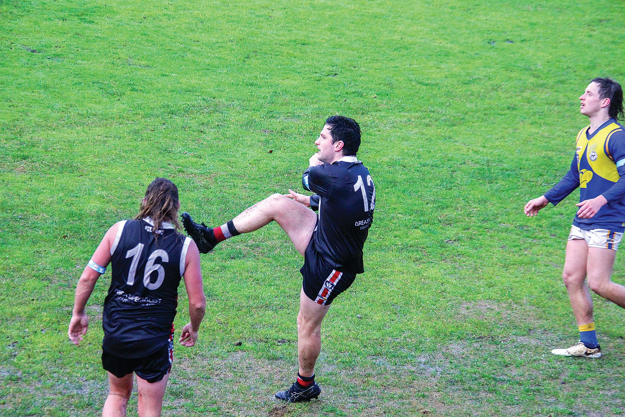 Eagles flex their muscle