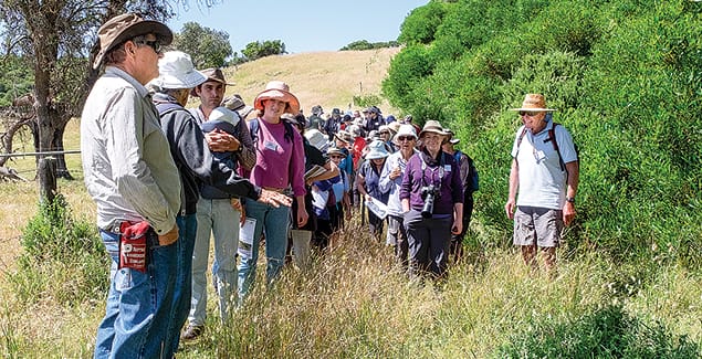 Exploring our flora and fauna