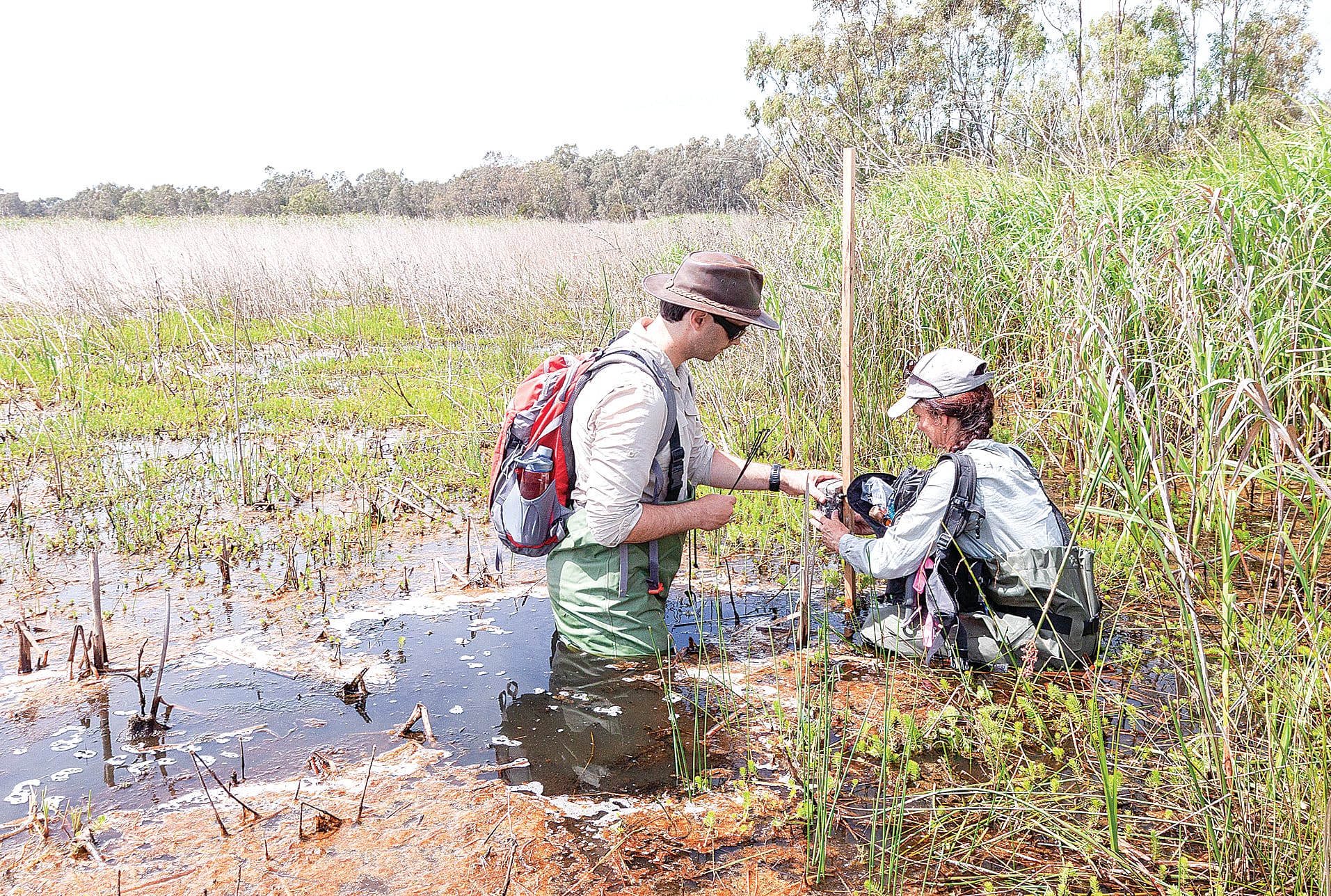 Happy World Wetlands Day with the CMA