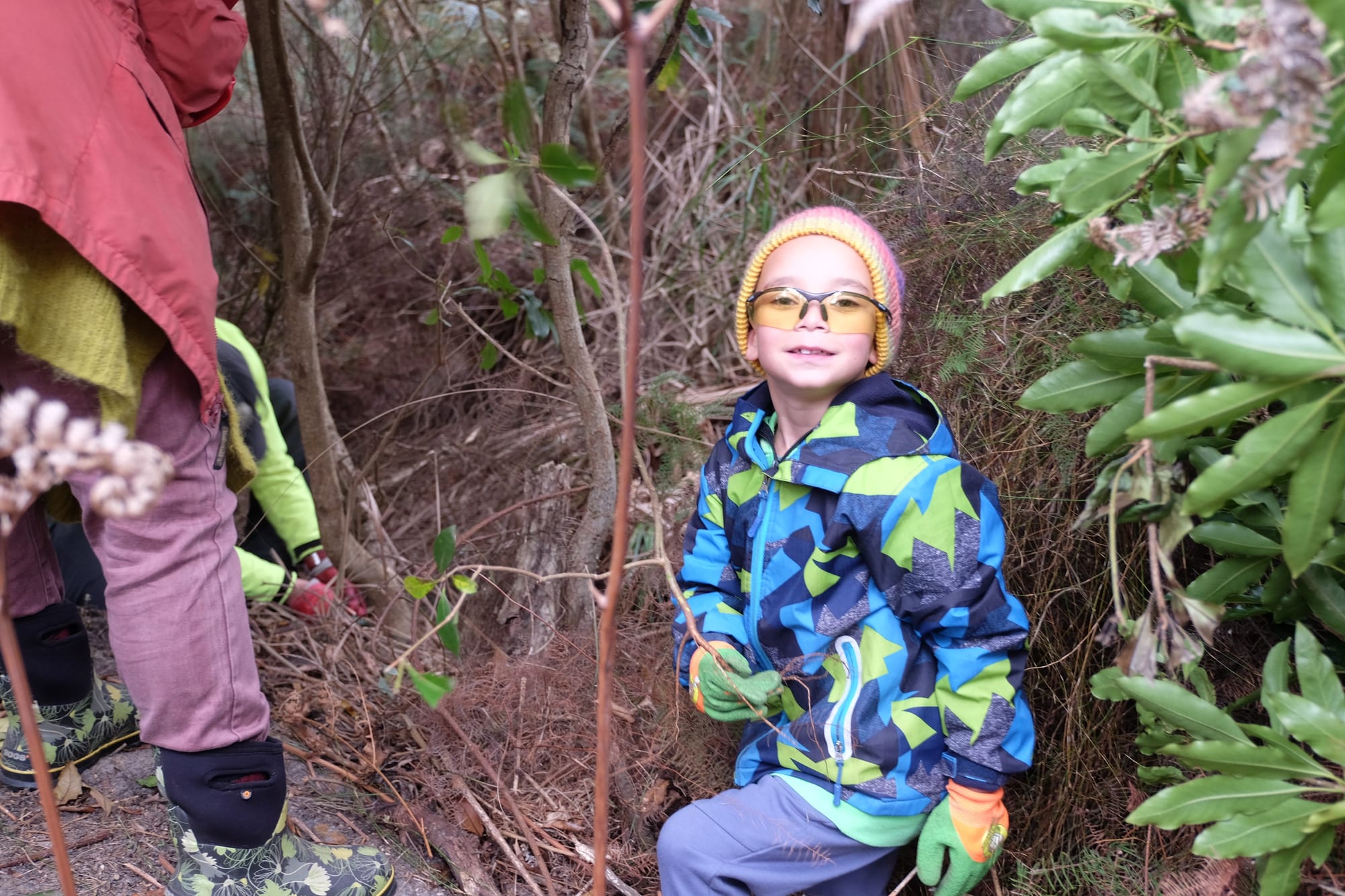 Tarwin Landcare control pittosporum in Cape Liptrap