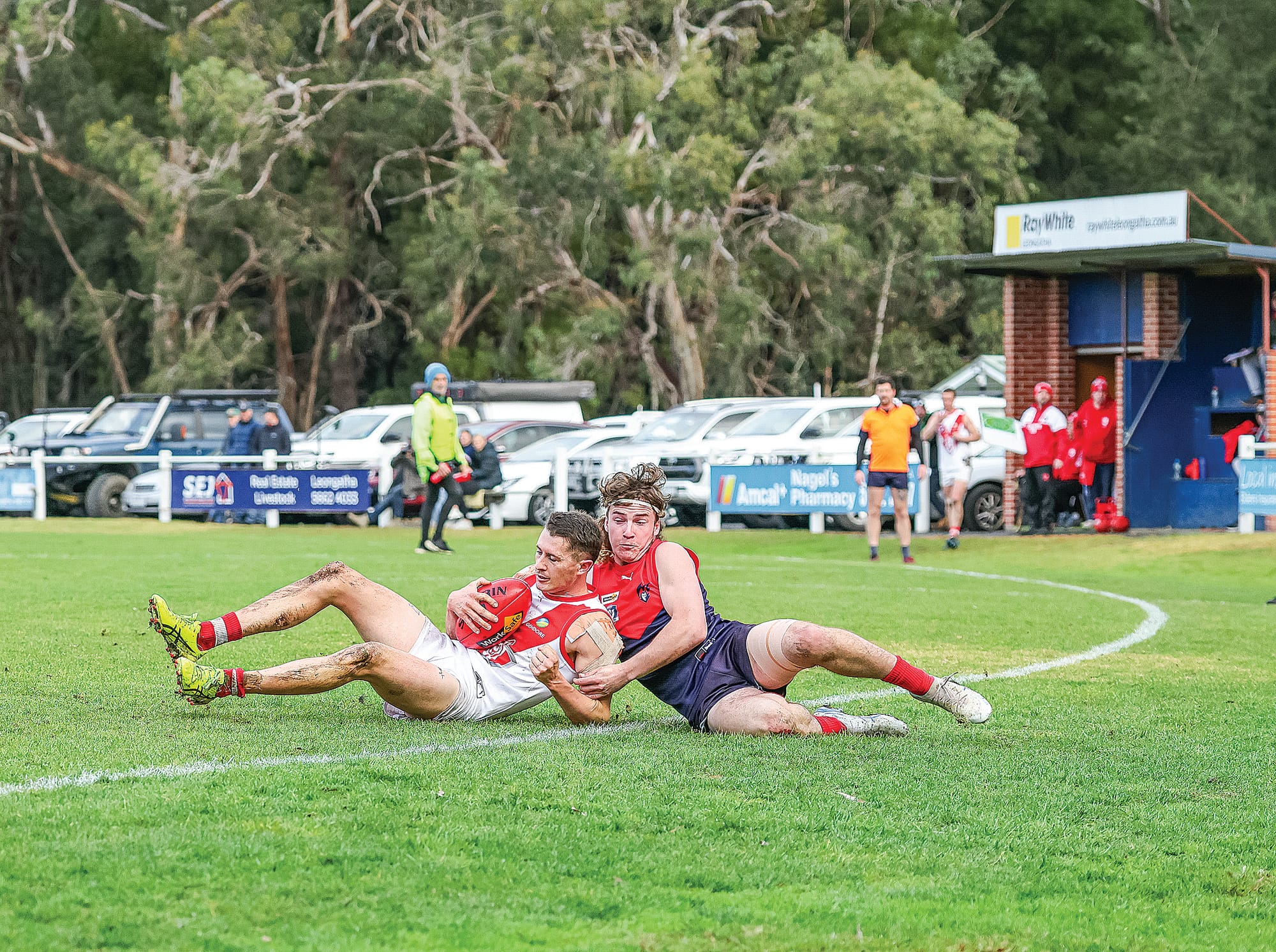 Roos survive Demon scare in King’s Birthday thriller