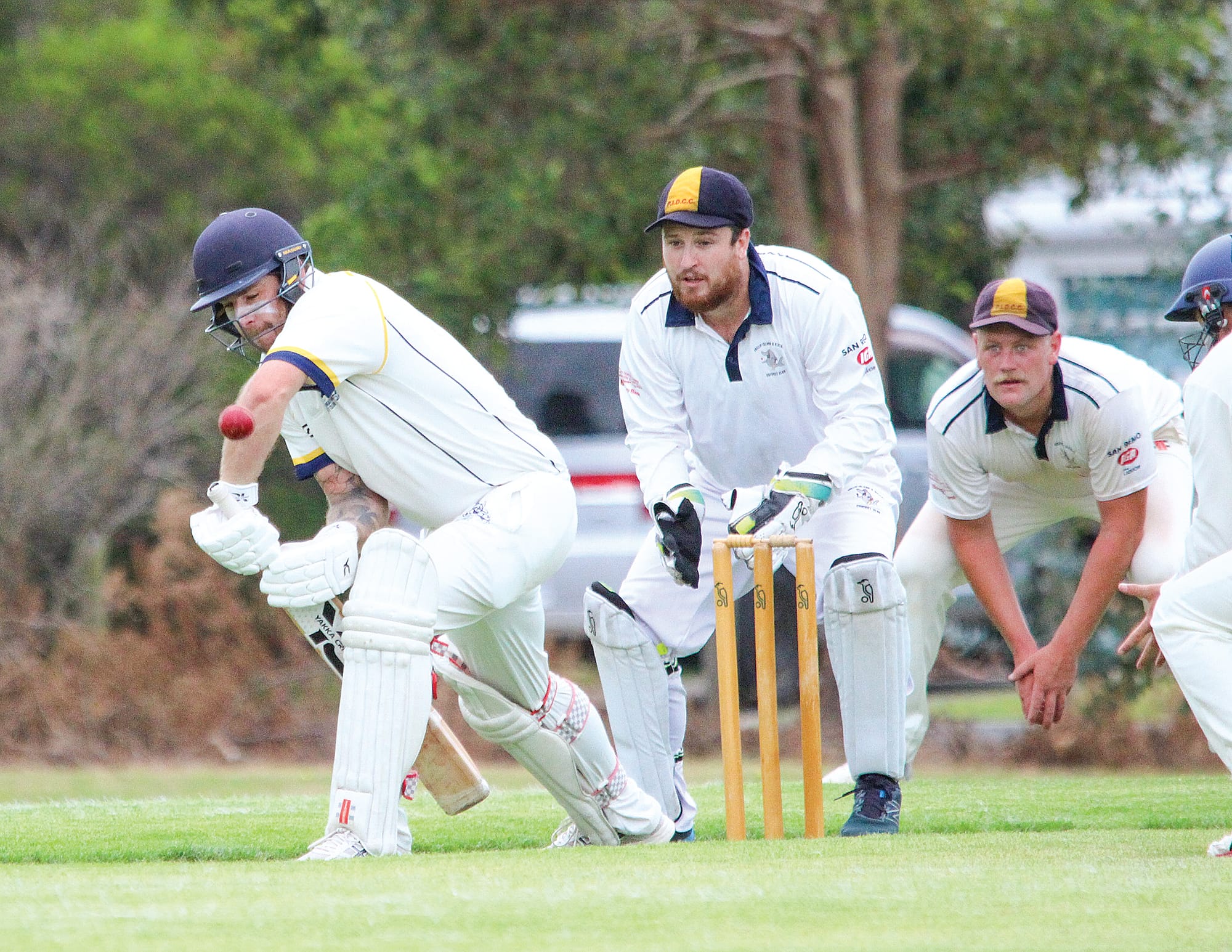 Cougars opener Ben Walsh’s captain’s knock set up a huge upset win for his side at the Newhaven Recreation Reserve. B14_0923
