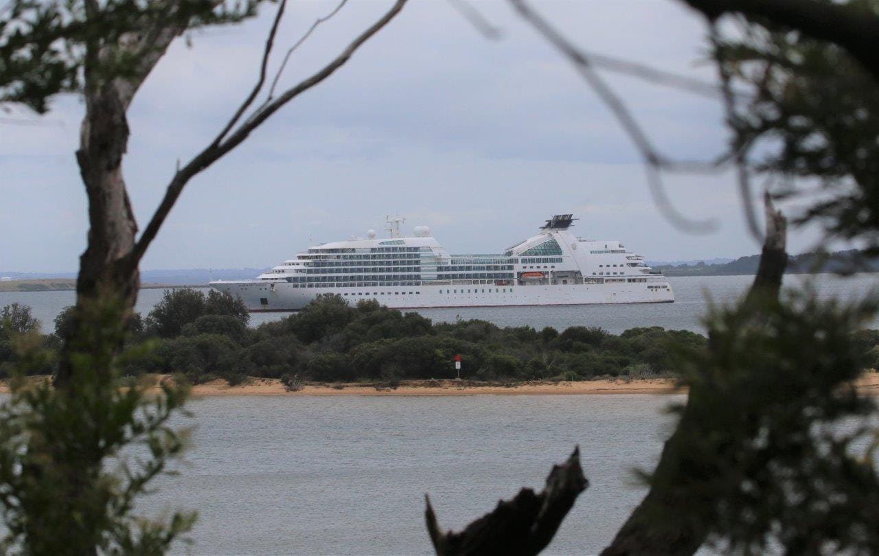 Phillip Island penguins on ‘Odyssey’ cruise agenda