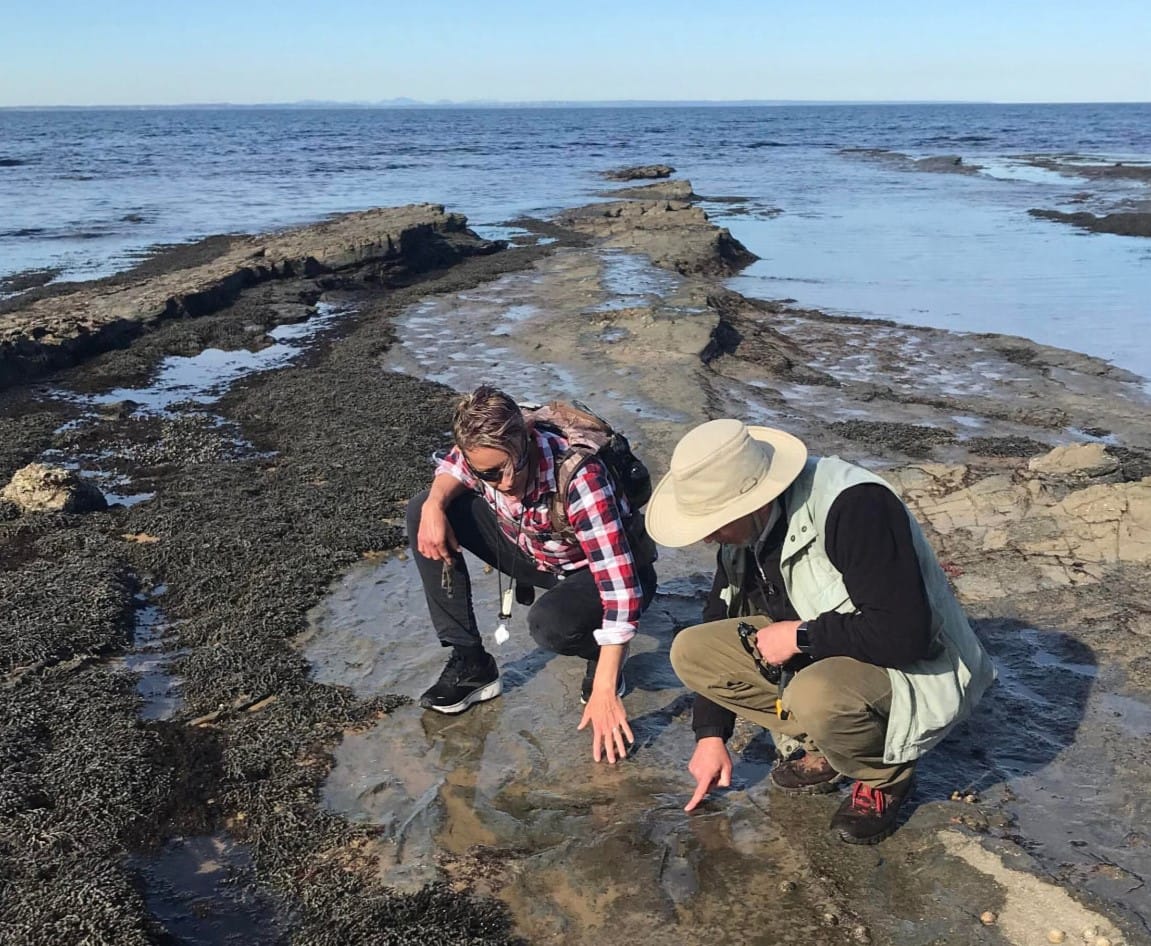 From dinosaurs to the present: All roads lead to Bass Coast