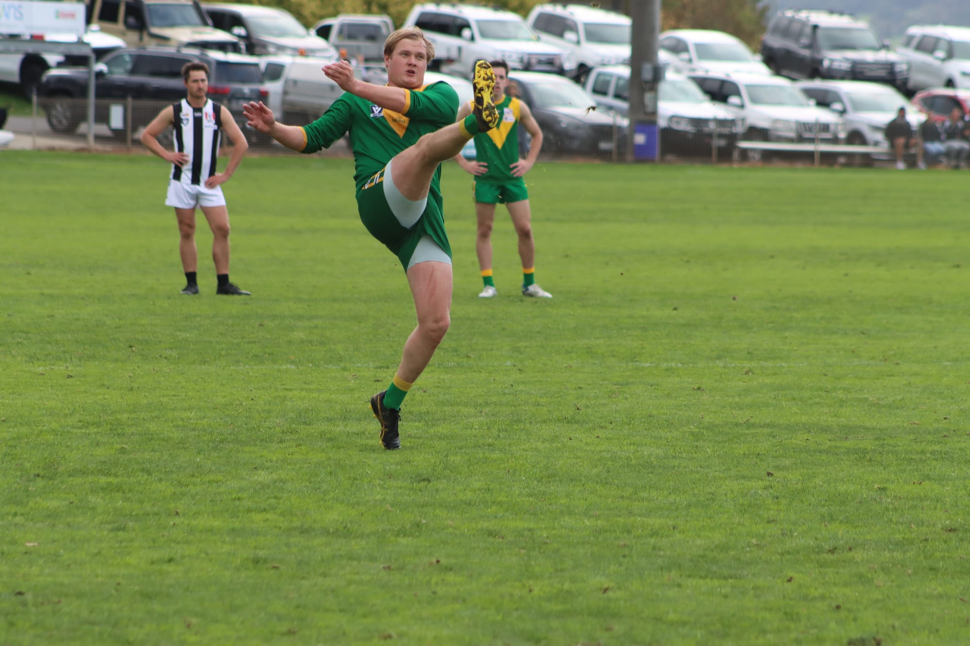 Ten out of Ten Parrots