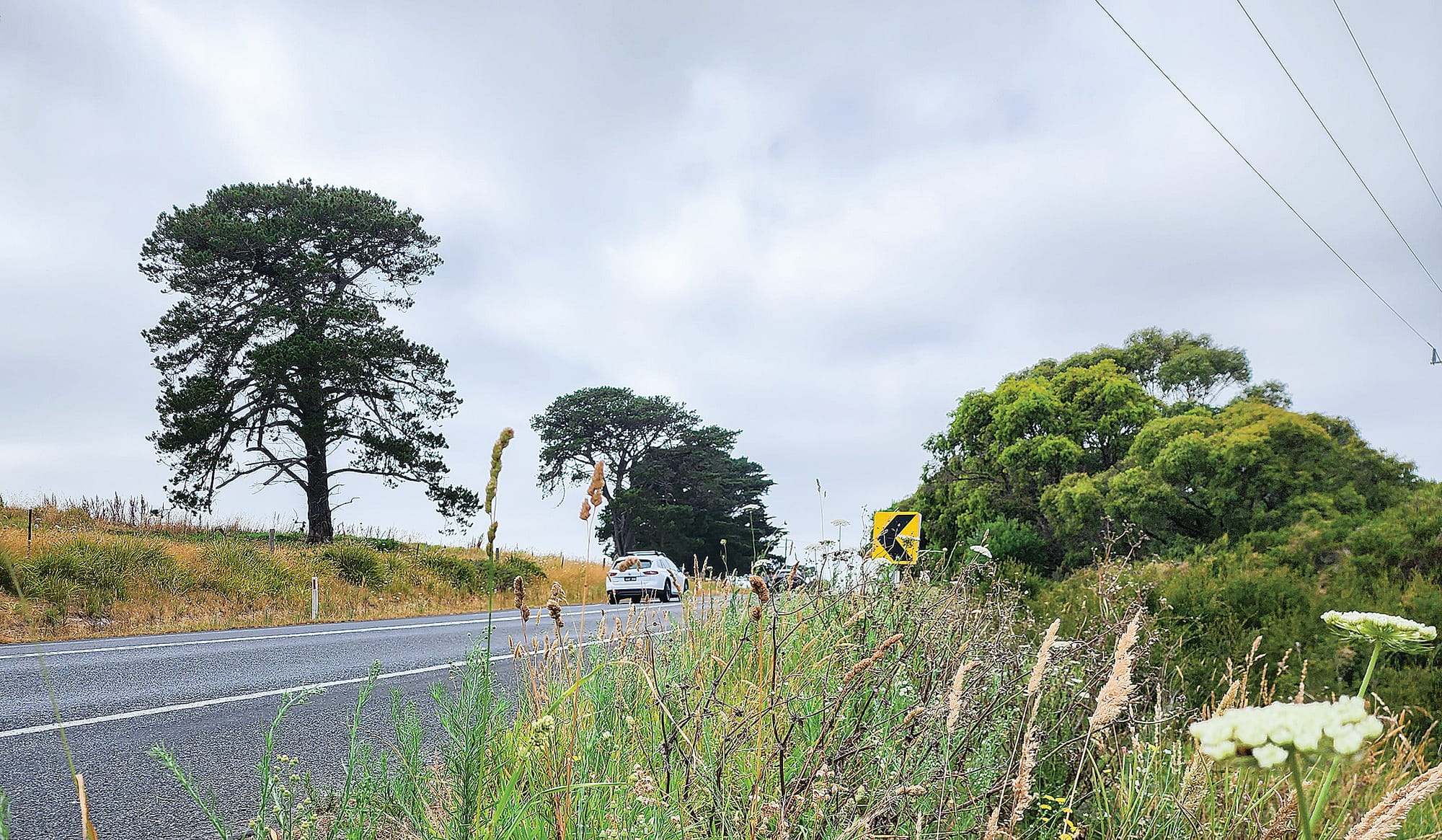 Overgrown roadsides causing concern