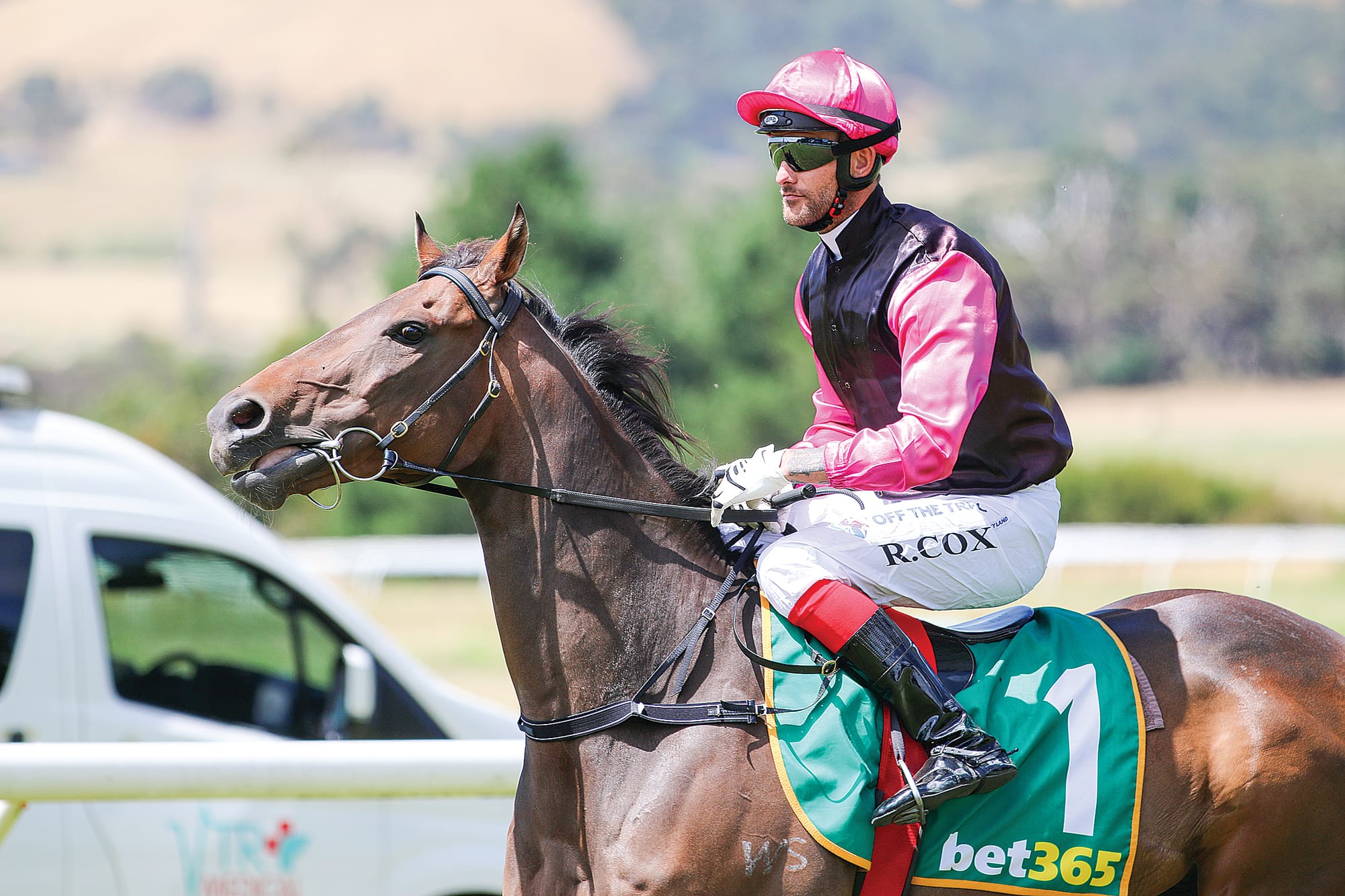 Anything But and jockey Rowan Cox prior to the Bendigo Bank 0-28 Handicap, which they would ultimately win.  