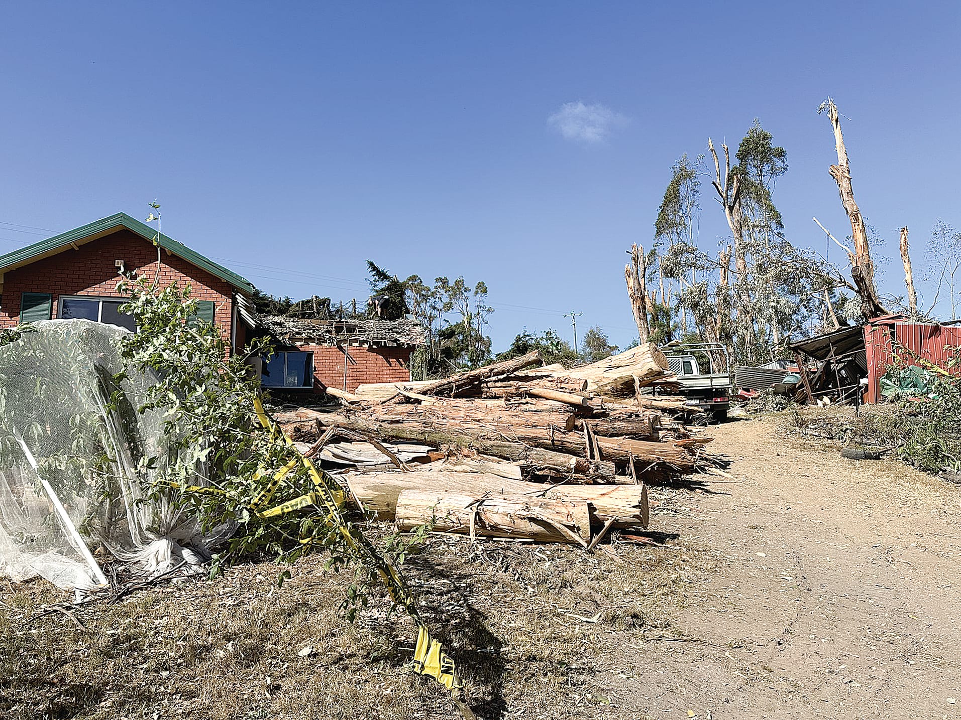 Vera’s house was partially destroyed by falling gumtrees from the reserve next door, which are now piled high in her yard. ob08_1024