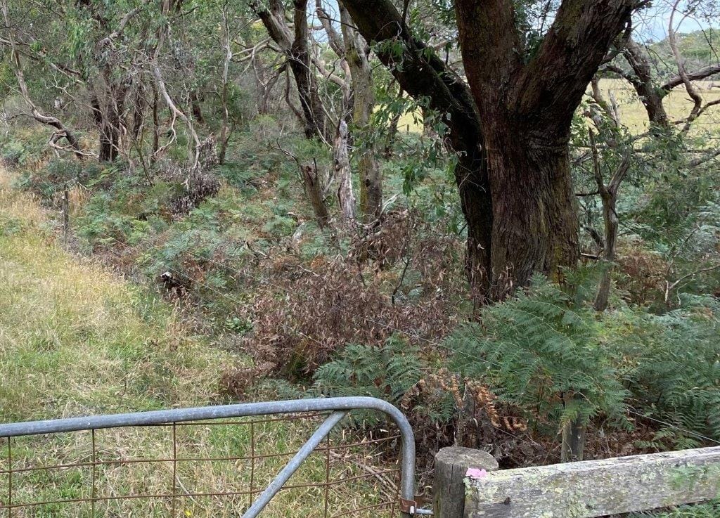 One question: How much vegetation will be lost?