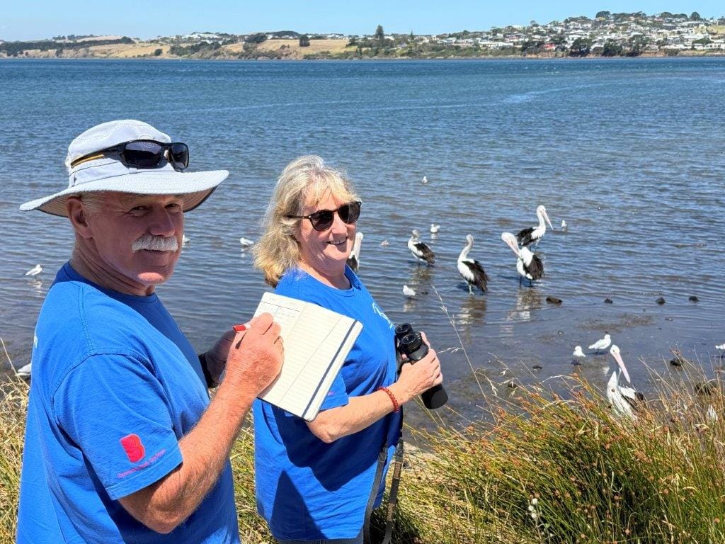 The mysteries that surround these magnificent creatures