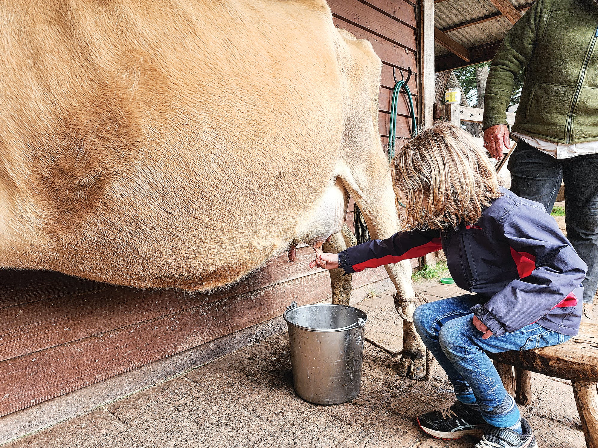 Come Along for Nature, Wildlife and Community!