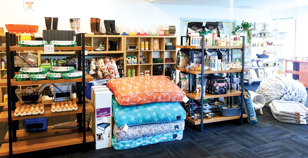 Drop in to The Dainty Gumboot