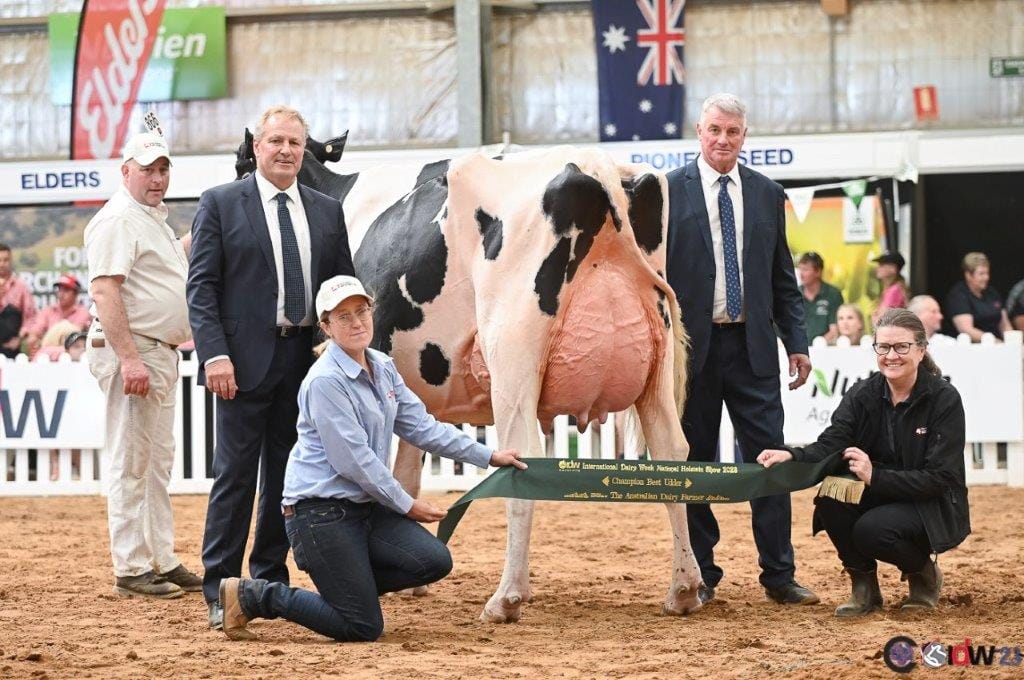 The winner of the Best Udder sash at Tarura’s IDW event last week was “View Fort Brasilia Saturday”, (Brasilia) shown by View Fort Holsteins, Tarwin.