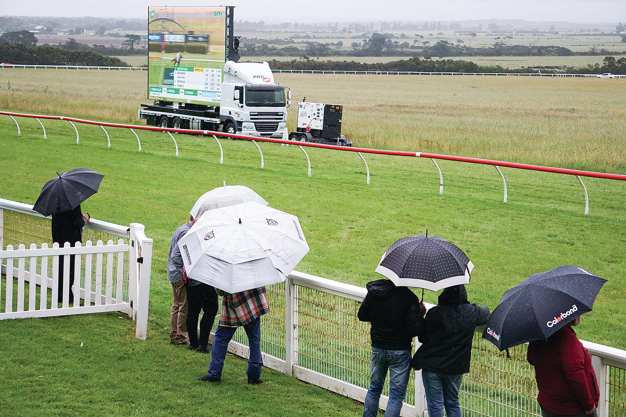 There were plenty of umbrellas out as the rain persisted all day. Ns14_4923