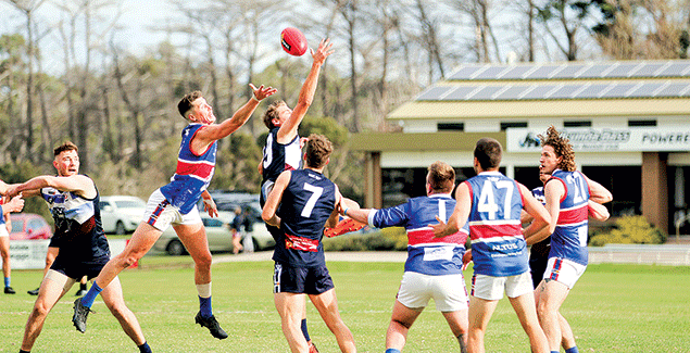 Gibson kicks nine in stirring Panthers’ victory