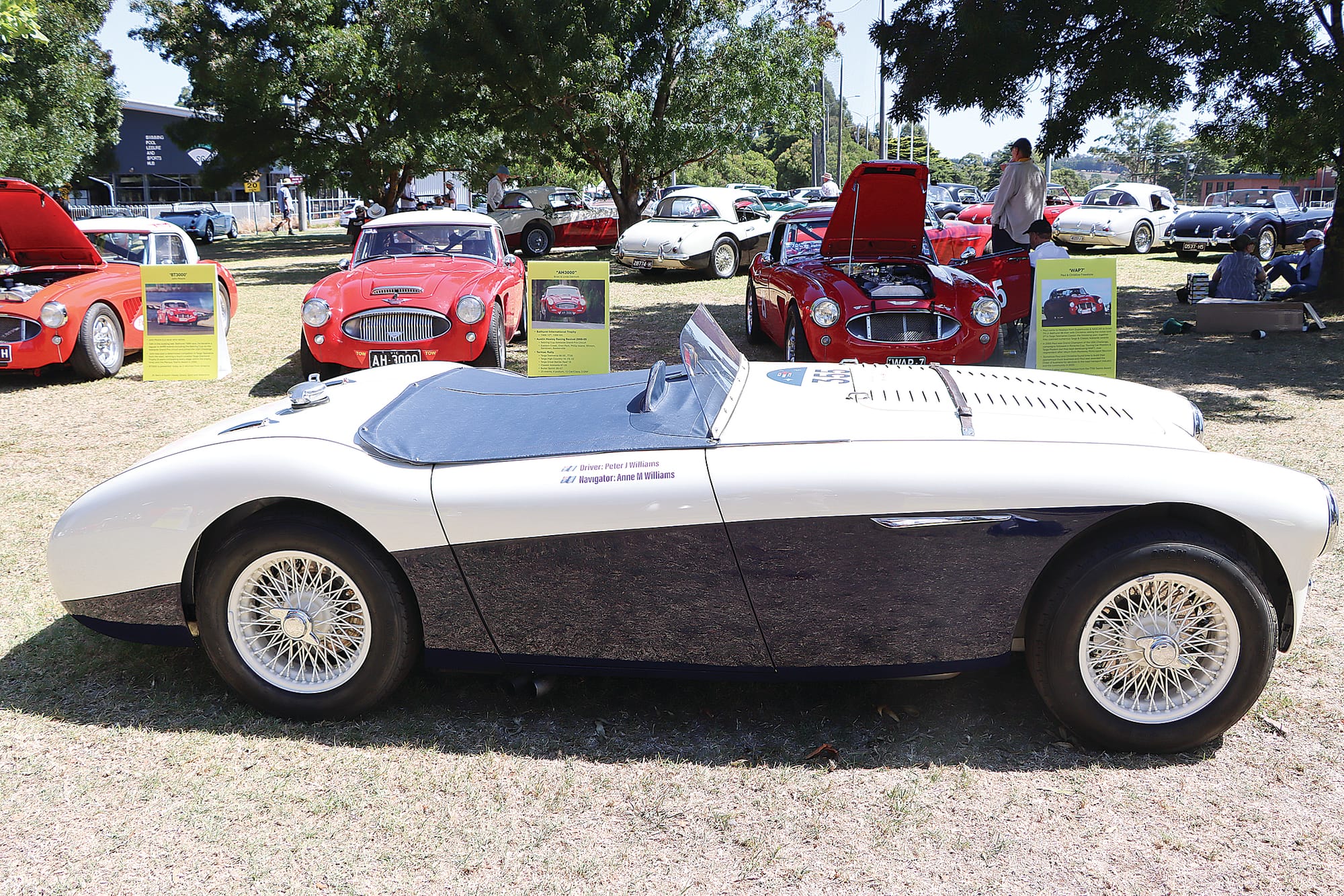 One of just 55 Austin Healey 100S cars produced. A05_1025