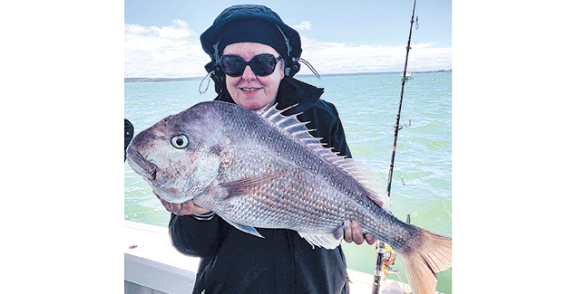 Around the Bay - Tuesday, December 14, 2021