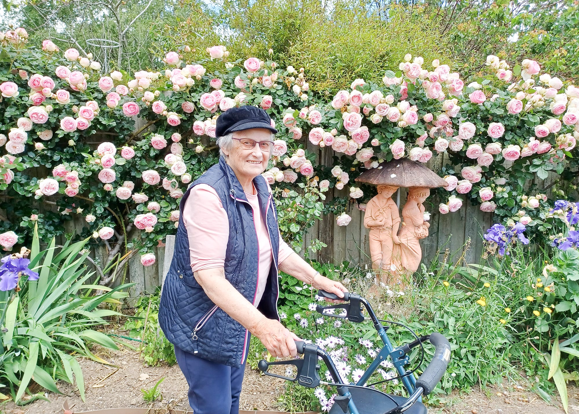 Pierre de Ronsard, a rose worth growing